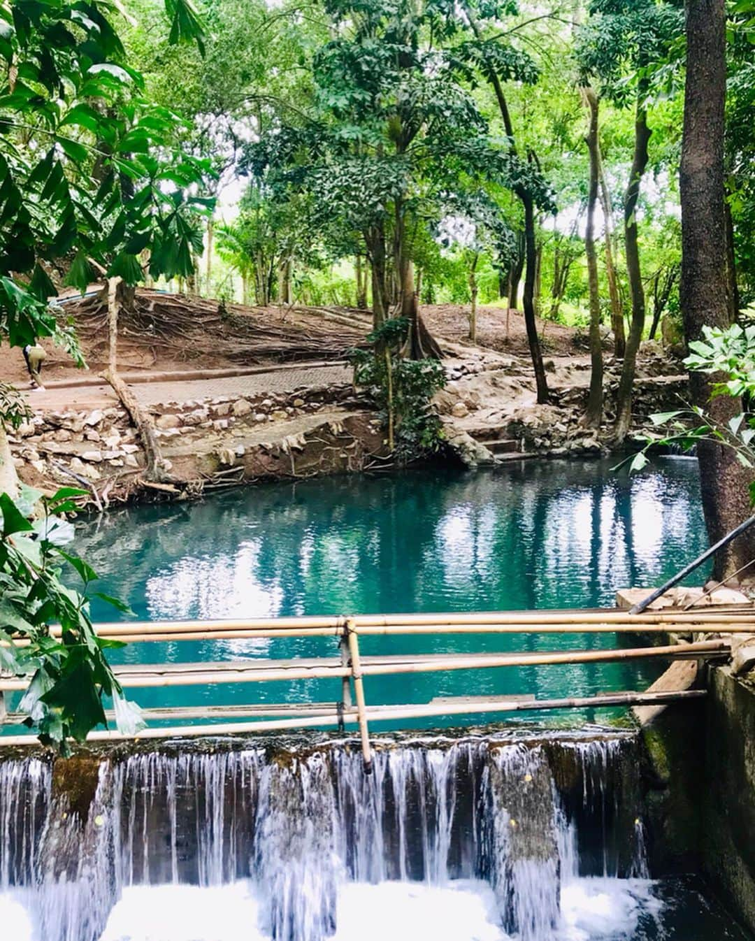 新井利佳さんのインスタグラム写真 - (新井利佳Instagram)「#khaoyai #khaoyaitrip #khaoyainationalpark #khaoyaithailand #thailand_ig #crystalblue #water #nature #purewater ##BanThaChangSpring #Emerald #thailandtravel #familytrip #angthong  #拷艾國家公園 #考艾國家公園 #國家公園 #泰國 #泰國旅遊 #下雨天 #回歸自然 #泉水 #三世代旅行 #新井利佳 #鄉下 #カオヤイ #カオヤイ国立公園 #カオヤイ旅行 #タイ🇹🇭 #タイ旅行」7月4日 21時15分 - rika.arai