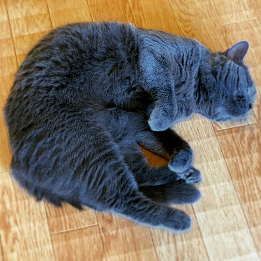 チキン南蛮カレーのルウ王子のグルメインスタ