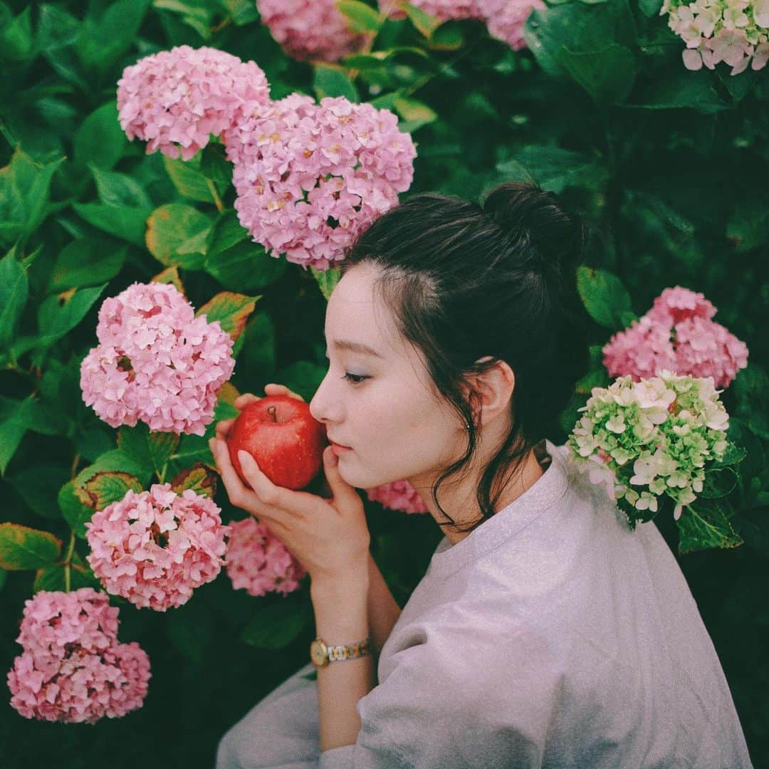 hiderin777のインスタグラム：「. . . . 花の中で好きな順に言うと、 さくら→ツバキ→コスモス→紫陽花→かすみ草→ポピー。 それぞれ咲く季節は様々。 花が違うだけじゃなくて、撮影する時の周りの雰囲気も様々なので、日本の四季って素敵だなと思う。 紫陽花は自分の中では4番目に好きな花なんだけど、紫陽花を撮る時ってだいたい曇りか雨なので、しっとりしててちょっと寂しい雰囲気で撮れるところが好きだったりする。 この日は朝5時起きで朝を迎える6時に待ち合わせして紫陽花を撮りに行きました。そして10時には解散。いつもこんな感じでわがままを聞いてくれるモデルさんには感謝しかないですね( ๑⃙⃘ϋ๑⃙⃘ ) . . . #りんごがーる  #contax  #distagon  #35mmf14  #carlzeiss」