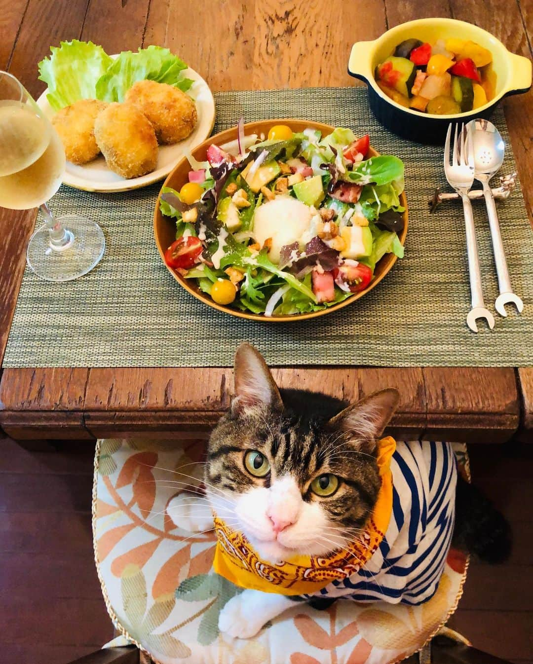 マロさんのインスタグラム写真 - (マロInstagram)「シーザーサラダの日🥗 SWIPE⏩ Caesar Salad day is July 4. メキシコ ティファナにあるホテルシーザーズプレイスのシーザー・カルディニ氏が「シーザーサラダ」を1924年7月4日に生み出したことに由来しているそうです。 It is derived from the fact that Caesar Kardini of Hotel Caesars Place in Tijuana Mexico created "Caesar salad" on July 4, 1924. (Today's menu) ・シーザーサラダ (Caesar Salad) ・コロッケ (Croquette) ・ラタトゥイユ (Ratatouille) ☆ いつもコメントありがとうございます😸🙏💕 返信出来なくてすみません🙇‍♀️ 全て拝見しています🐾 ☆ Thank you for your kind comments😸🙏💕 I'm sorry that I couldn't reply. ☆ #cat#cats#catsofinstagram#😻 #catsofworld#caesarsalad#wine #food#chef#にゃんすたぐらむ#猫 #ねこ#ネコ#ねこ部#ふわもこ部  #今日は何の日#シーザーサラダの日  #7月4日#料理#猫との暮らし」7月4日 22時03分 - rinne172