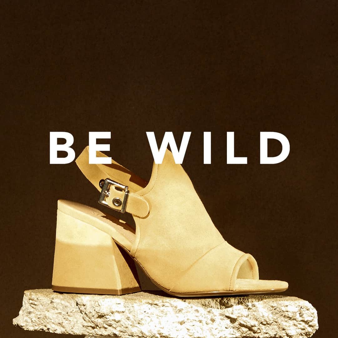 Schutzのインスタグラム：「Wild Steps 🖤 #schutzresort」