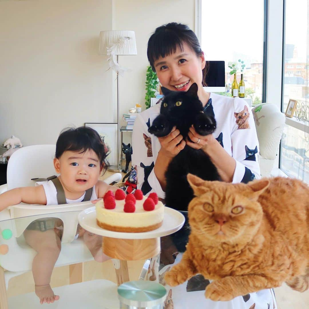 ギネス & ピムスさんのインスタグラム写真 - (ギネス & ピムスInstagram)「04/07/2019 Happy Thursday! ・ Yesterday was my birthday💁🏻‍♀️ Nagi has also turned 7 months👶 ・ A photo with everybody assembled to remember the day. But with a growing family, it’s getting increasingly difficult to have everyone’s eyes looking at the camera at the same time😂 ・ Have a fantastic day everyone! ・ ・ ピム丸に続き、 昨日は母丸の誕生日でした！ （昨日システム障害でpost出来なかった😂） そして凪くん#生後7ヶ月 になりました👶 おめでとう！ 同じ3日が誕生日にしたくて、 なんとかギリギリ23時33分に執念で産みました。笑 わたくし もう祝う歳でも無いのですけど、 毎年撮ってるので、一応家族写真を。 家族が増えるとみんなでカメラ目線をする難しさよ…🤣 そしてピム丸が前に出過ぎたせいで ピントも合わせづらいという。笑 ⑤はなぜかピム丸がピントを独り占めしていて面白いのでついでに入れておいた。笑 何はともあれ、 来年も健康でみんな揃って写真が撮れますように。 これからも三兄弟with母丸をよろしくお願いします♬ ・ ギネピム柄の生地で新たにロングワンピを作ってみた。 ピムスが入ってる分、派手😂 ・ ・ #ギネスくん #ピムスくん #ギネピムと凪くん  #happybirthday  #7monthsold #babyboy #男の子ベビー #赤ちゃんのいる生活 #赤ちゃんのいる暮らし #赤ちゃんと猫 #猫と赤ちゃん」7月4日 22時20分 - rina_takei