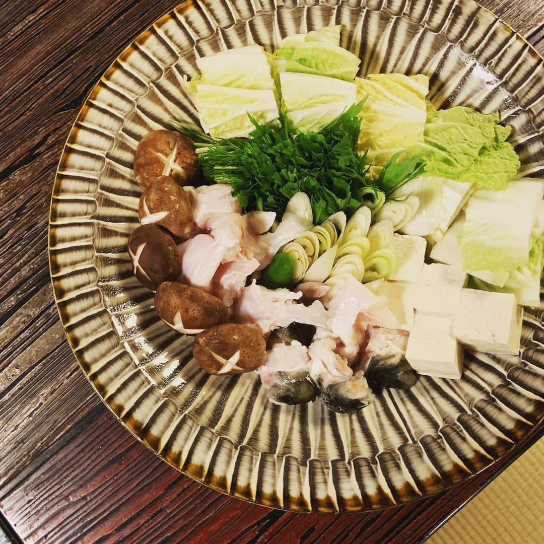 志摩有子さんのインスタグラム写真 - (志摩有子Instagram)「夏の河豚の美味しさを知ってもらいたいと臼杵の老舗、喜楽庵へ。新緑が鮮やかな庭と素晴らしいしつらいにうっとりしつつ、お目当ての河豚料理の数々を頂く。臼杵の河豚はその日獲れたての新鮮なものをさばくのが特徴とのこと。あっさりとして味わい深く、食べ飽きない。大大大満足。  #夏河豚 #河豚 #大分 #臼杵 #老舗 #大正元年建築  #リピ決定 #なんておこがましい #再訪熱望 #大分備忘録」7月4日 22時16分 - ariko418