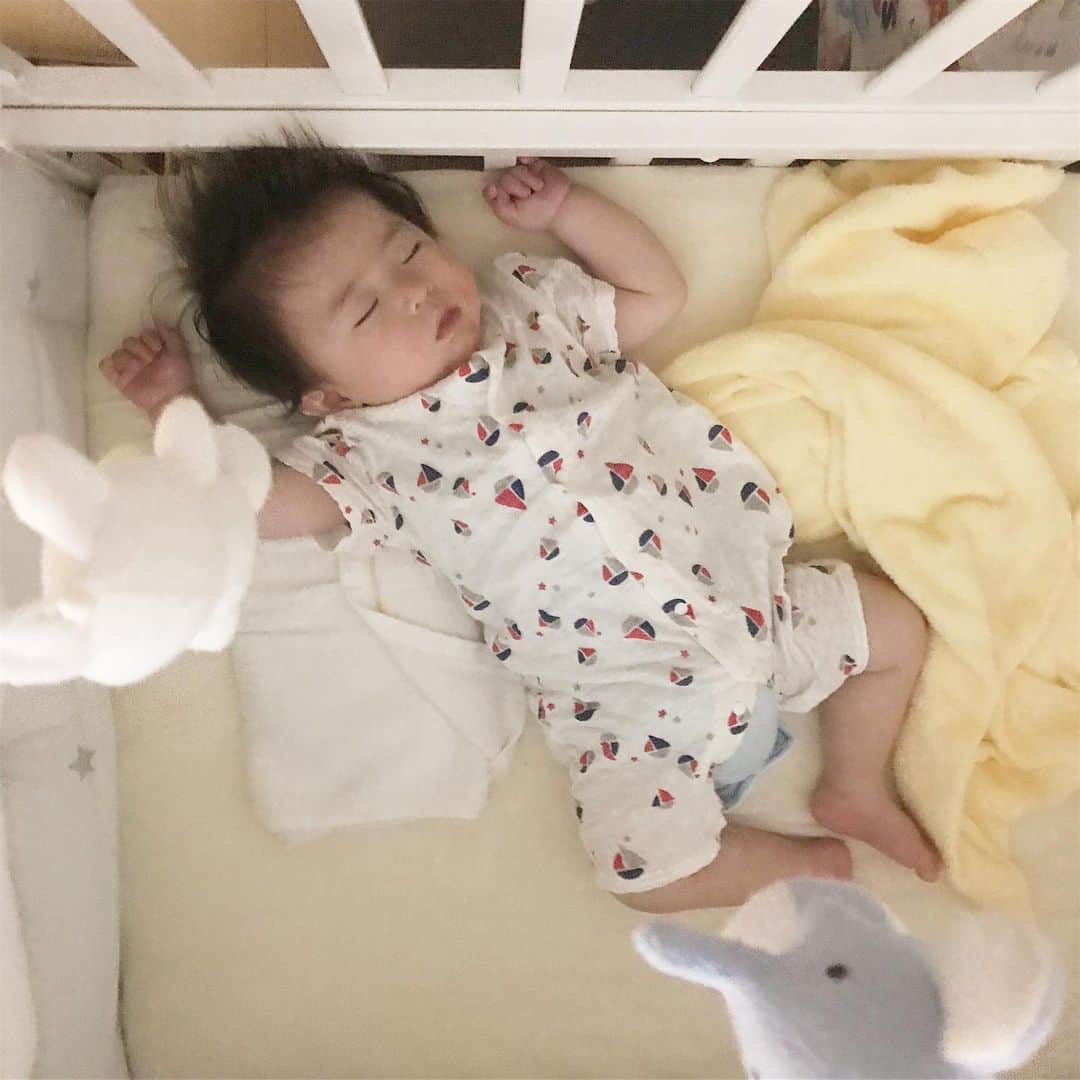 sioneのインスタグラム：「とても気持ちよさそうに寝ておる。。。」