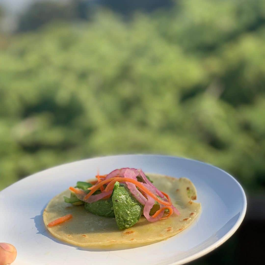 コルトン・ダンさんのインスタグラム写真 - (コルトン・ダンInstagram)「Round One: Sliced & Seasoned avocado w/ jalapeño & pickled onions and carrot.」7月5日 9時42分 - captdope