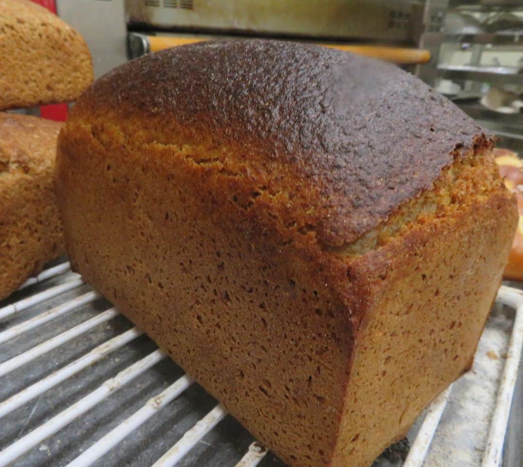 魔女菅原のグルメインスタ