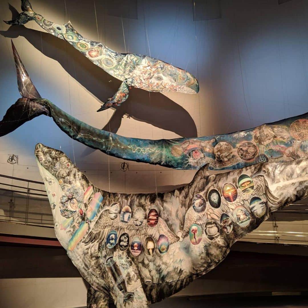 林千晶さんのインスタグラム写真 - (林千晶Instagram)「スパイラルで開催される「うたう命、うねる心」展を見てきました。  大小島さんのスケールの大きな鯨にはびっくり！笹岡さんの「世界には悪魔がいるけど、日本にはいないんですよね」と作った「許します！」って映像も見応えがありました。 #スパイラル #大小島真木 #笹岡由梨子」7月5日 8時22分 - chiaki_0808