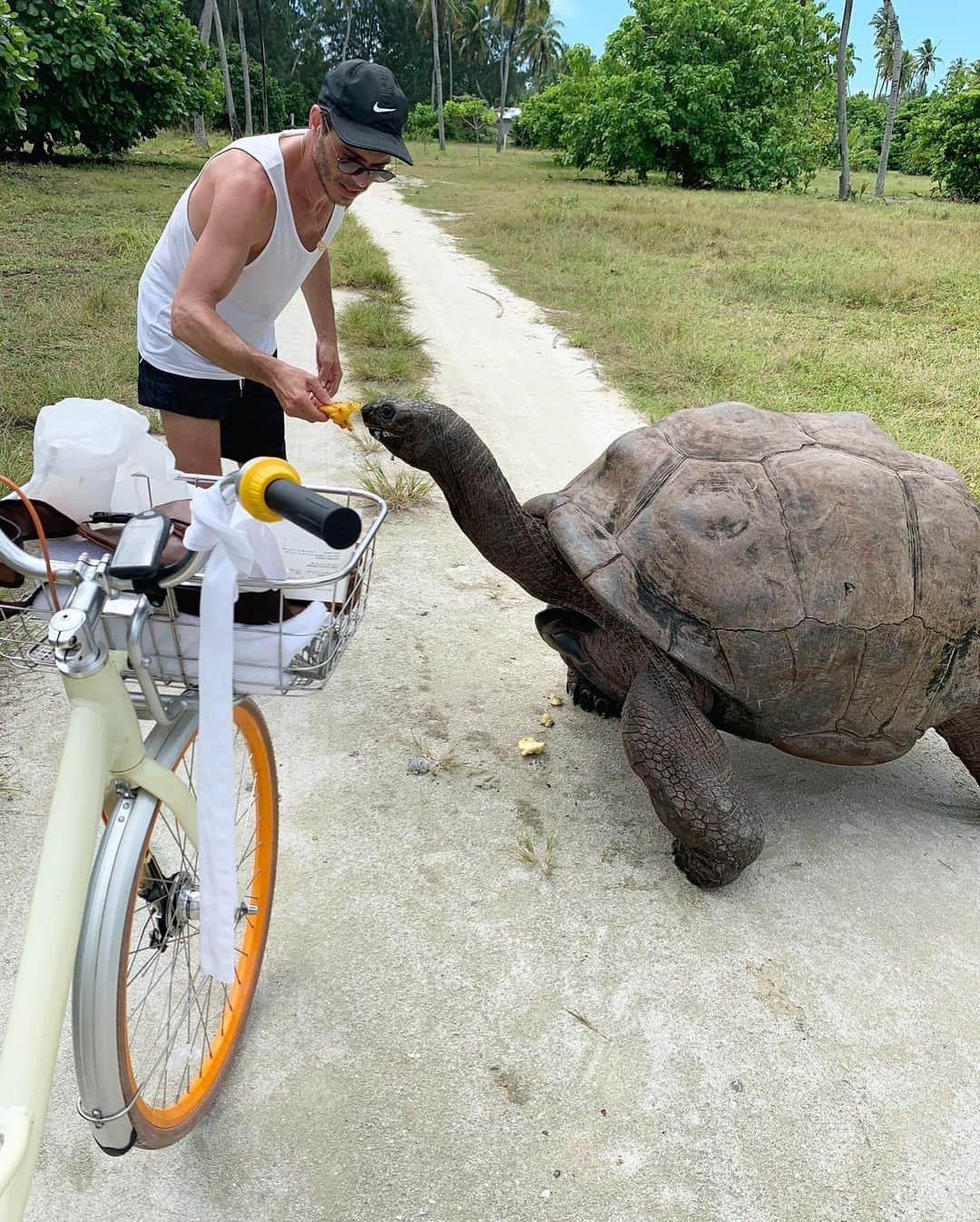 シェリル・バークさんのインスタグラム写真 - (シェリル・バークInstagram)「Happy 4th of July from our family to yours! . P.S. Meet George, the massive tortoise we met on our trip to the Seychelles!」7月5日 8時30分 - cherylburke