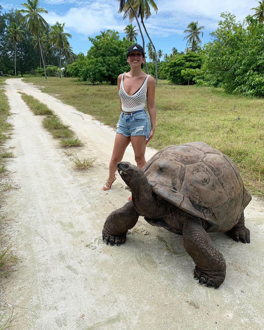 シェリル・バークさんのインスタグラム写真 - (シェリル・バークInstagram)「Happy 4th of July from our family to yours! . P.S. Meet George, the massive tortoise we met on our trip to the Seychelles!」7月5日 8時30分 - cherylburke
