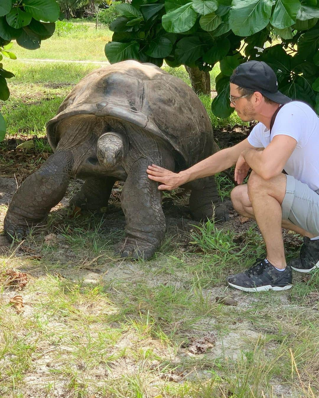 シェリル・バークさんのインスタグラム写真 - (シェリル・バークInstagram)「Happy 4th of July from our family to yours! . P.S. Meet George, the massive tortoise we met on our trip to the Seychelles!」7月5日 8時30分 - cherylburke