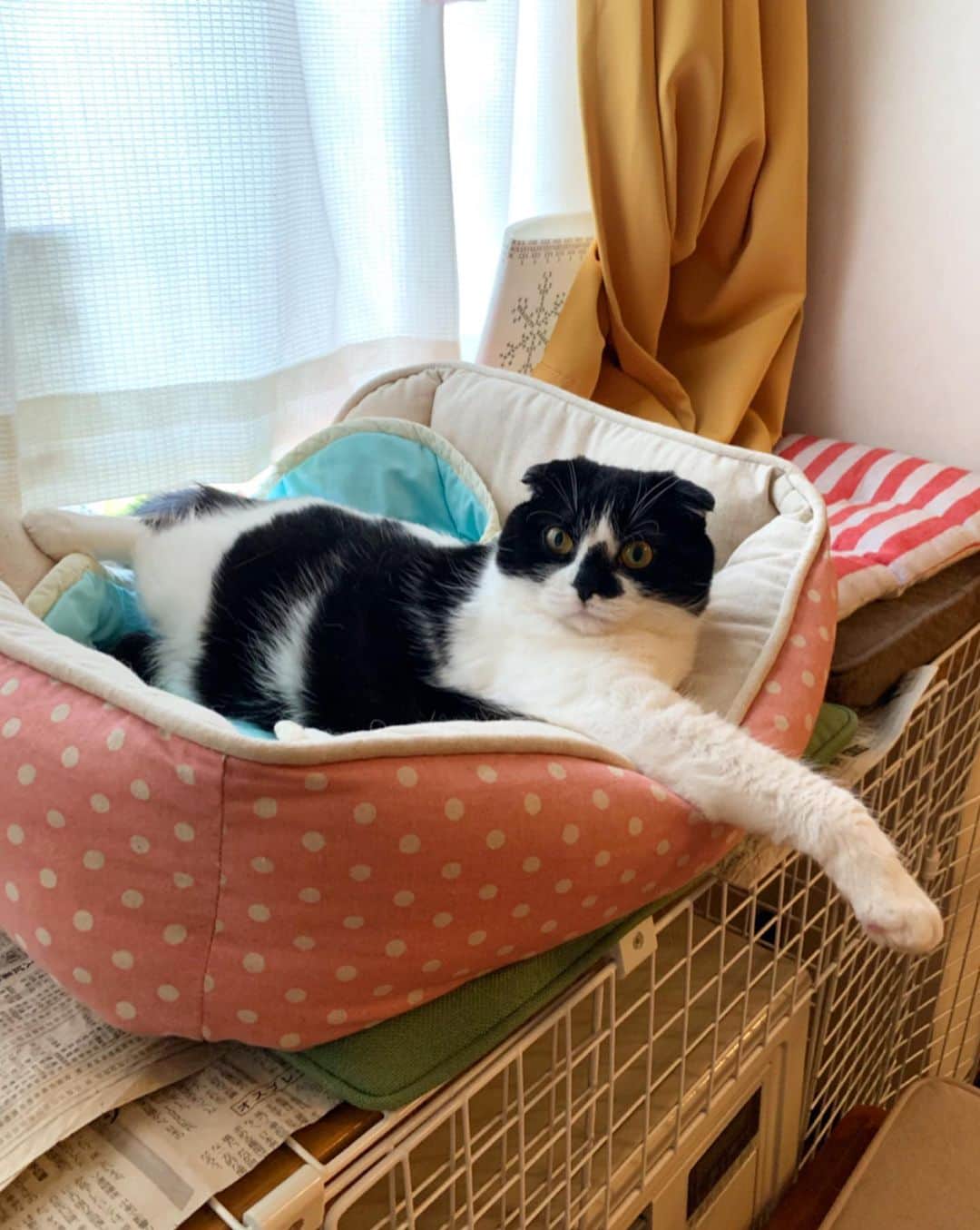 tiaichimaのインスタグラム