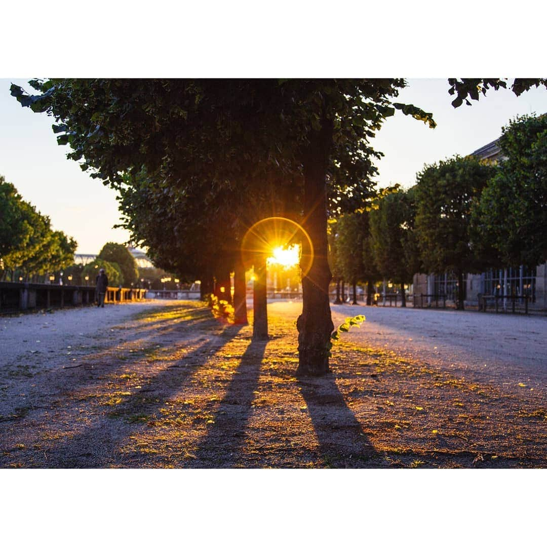 VuTheara Khamさんのインスタグラム写真 - (VuTheara KhamInstagram)「Light and Shadow, Tuileries Garden, Paris 💛 💚」7月5日 0時44分 - vutheara