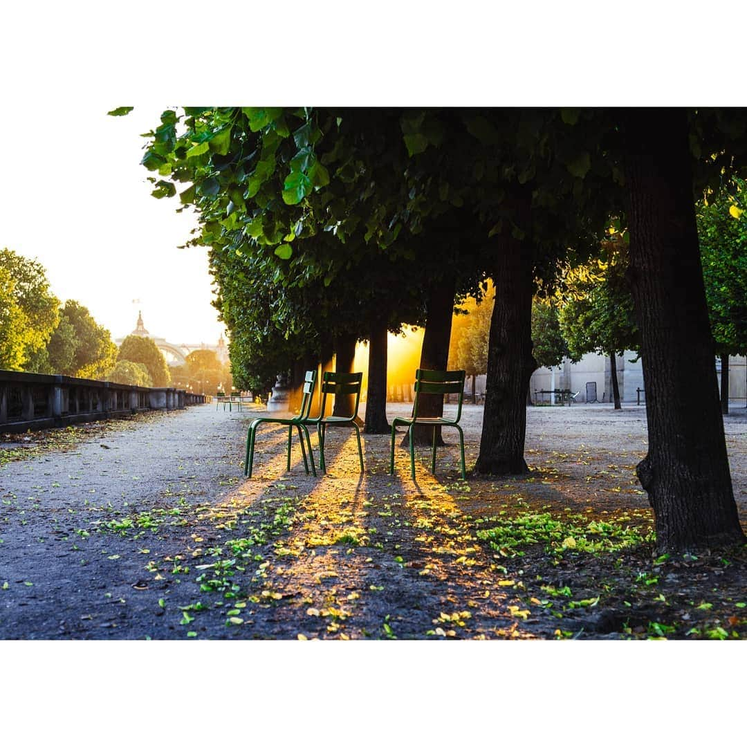 VuTheara Khamさんのインスタグラム写真 - (VuTheara KhamInstagram)「Light and Shadow, Tuileries Garden, Paris 💛 💚」7月5日 0時44分 - vutheara