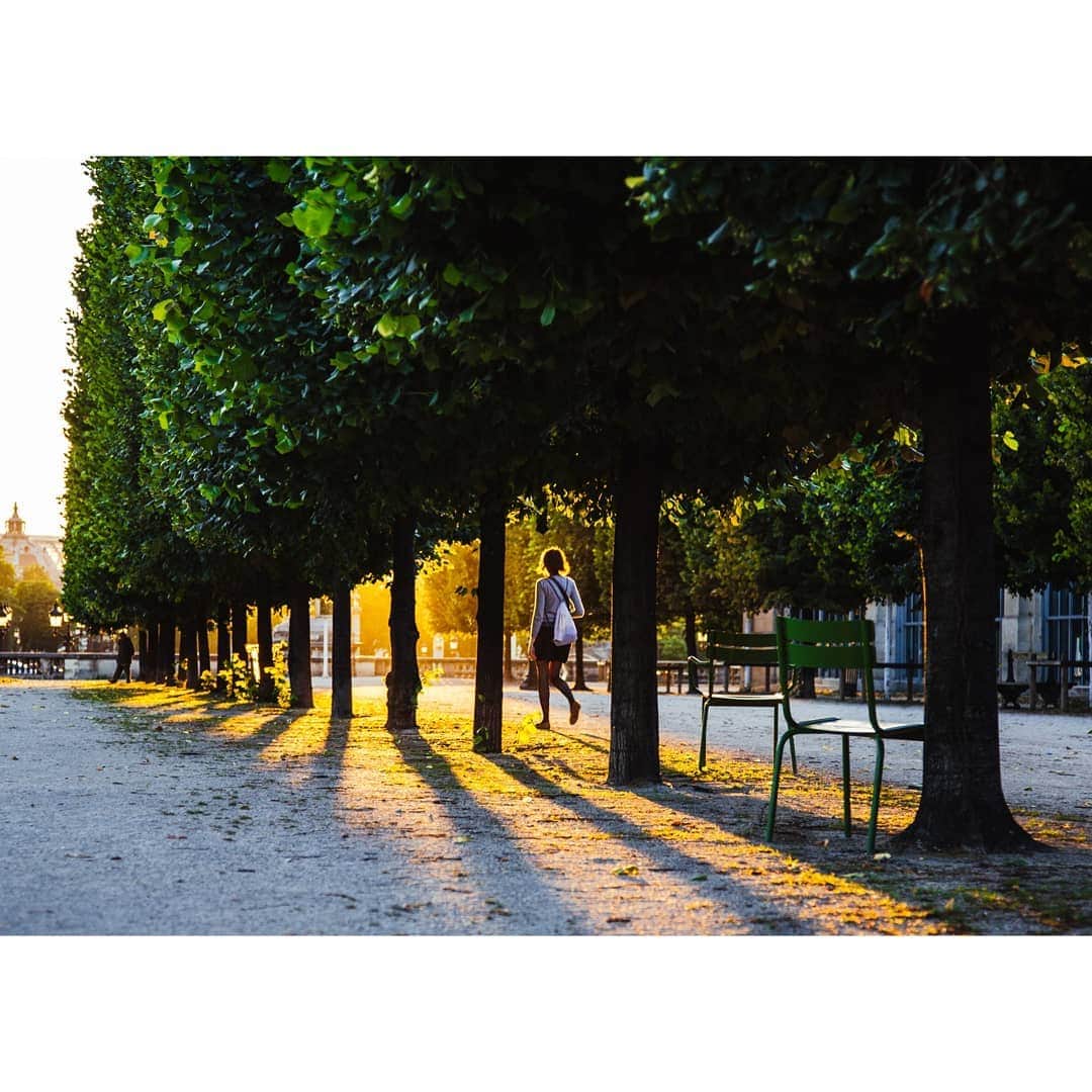 VuTheara Khamさんのインスタグラム写真 - (VuTheara KhamInstagram)「Light and Shadow, Tuileries Garden, Paris 💛 💚」7月5日 0時44分 - vutheara