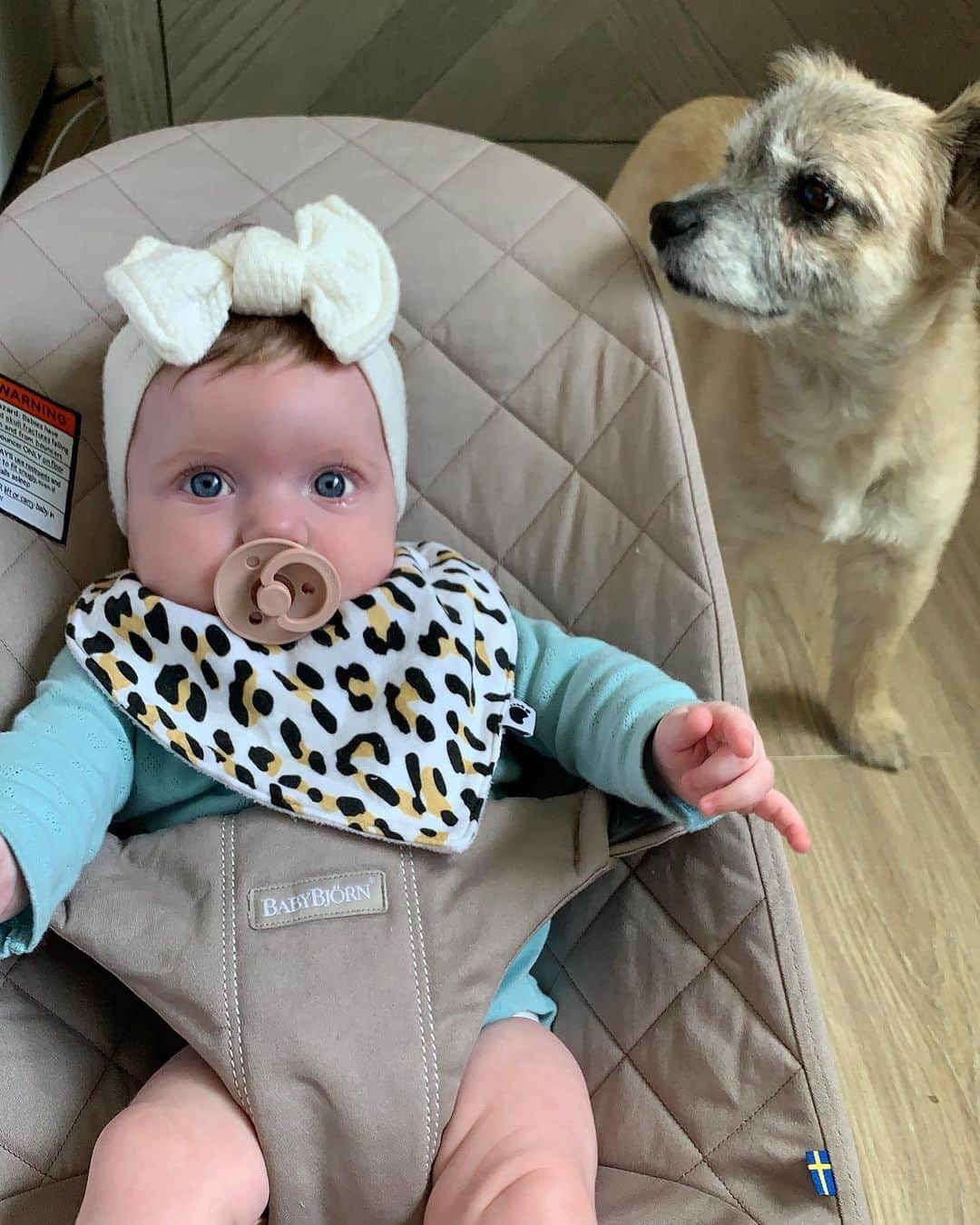 メリッサ・モリナロさんのインスタグラム写真 - (メリッサ・モリナロInstagram)「I’m 5 months old today!! Wishing everyone a Happy 4th!! Love London & Bronx」7月5日 1時11分 - melissamolinaro