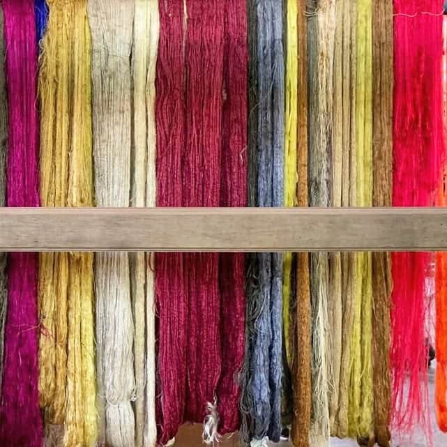 倉岡晋也のインスタグラム：「Beautiful ✓ @artisanangkor carrying on traditional silk making craftsmanship to future generations in Cambodia 「蚕を育て糸を紡ぎ機を織る」 果てしない行程を経て完成する カンボジアン・シルク 伝統継承を保護し世に伝え、 人々の生活と教育を守るプロジェクト【アルティザン・アンコール】のシルク工場に。。 シェムリアップからバスで30分ほど、広大な敷地に突如現れる畑と工場。 初めて訪れたカンボジアで様々な感情を抱きましたが、ここを訪れ職人技に心打たれない訳がなく…ファッションに携わる仕事をさせてもらっている僕なりに何か関わりが持てないものか…などと思いを馳せながら… まずは、一生使えそうな黒シルクのスカーフを購入。。(今度載せます) 何より印象的だったのは、 働く皆さんが楽しそうだった事！ 遠かれ近かれ僕の故郷にまつわる民話 オシラサマ思い出した。 ピュアな心がこもった芸術、、美しかった。 #artisanangkor #アルティザンアンコール」