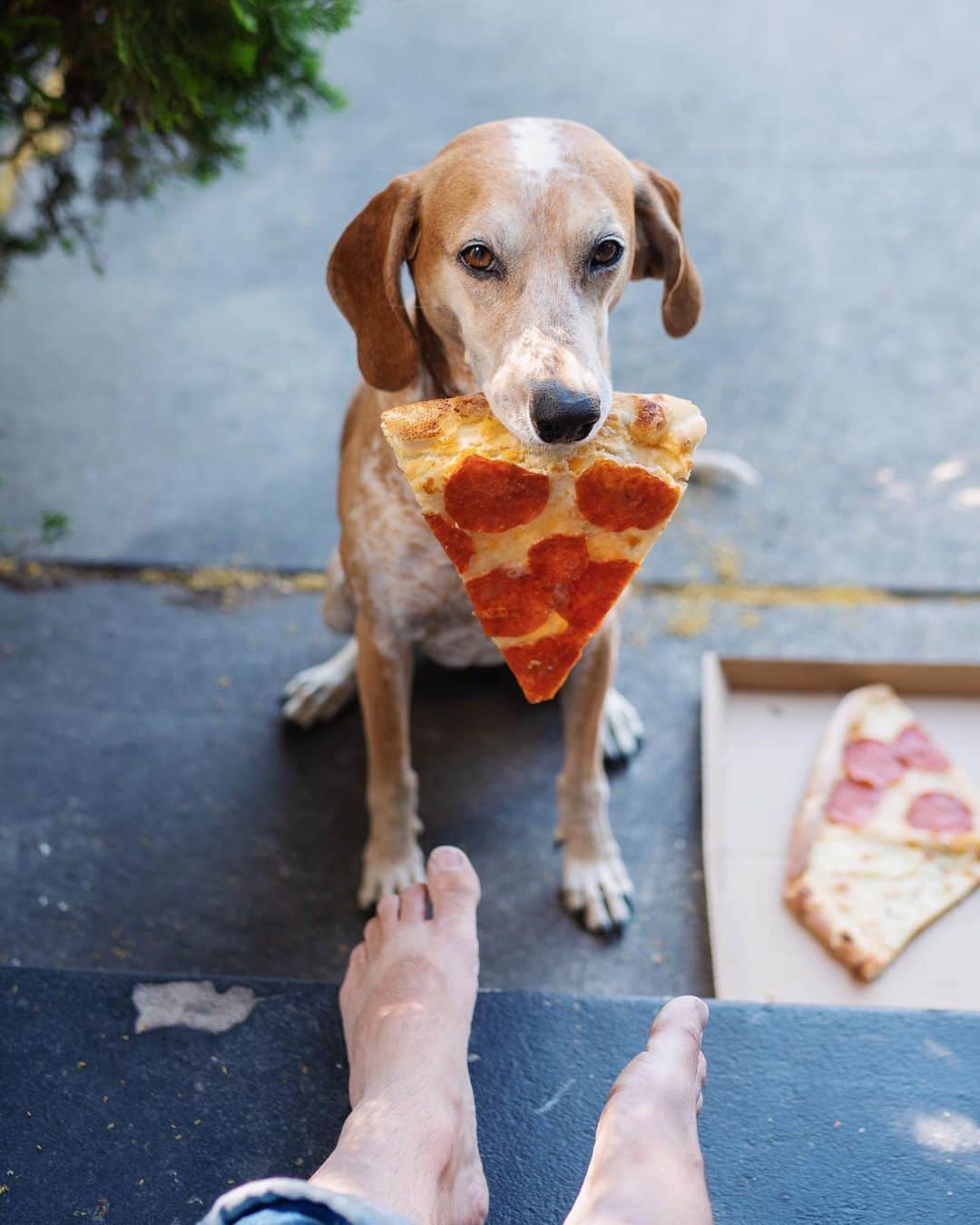 マディのインスタグラム：「Only pizza holder I trust ✨ I adore going into the back country and finding an amazing camping & hiking spots, but some of my favorite moments and images come from the everyday, maybe even the mundane. Like sitting on a stoop eating pizza with friends, hard to beat 🍕」