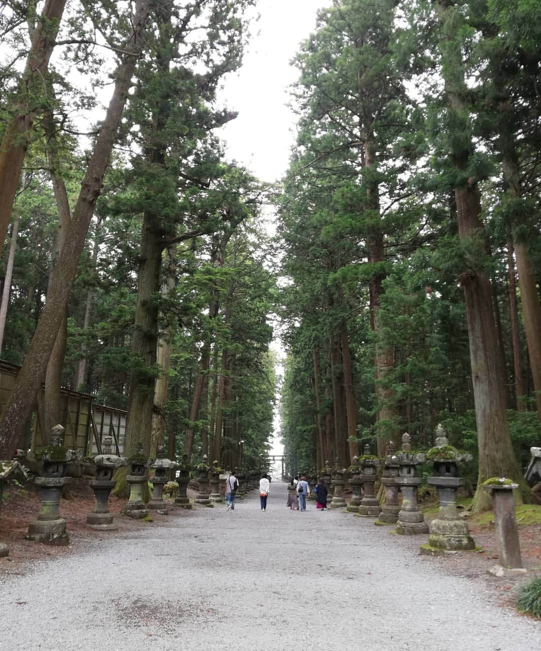 杉山由紀子さんのインスタグラム写真 - (杉山由紀子Instagram)「⛩️浅間神社⛩️ * 富士山のすぐ近くにある最古の神社といわれてるところだけあって、かなり氣がすんでた✨ * 見えないけど直感かなりあるタイプ♪♪ * ほんと凄いパワースポットでした！！ *  みんなと行けて嬉しい💞 * * #浅間神社 #富士山 #神社 #パワースポット #氣 #やばい #すごい #エネルギー #直感 #またいきたい」7月5日 1時49分 - yukikosugiyama