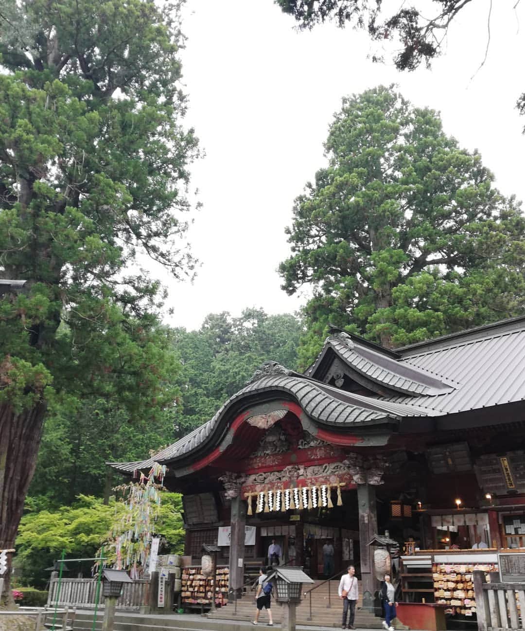杉山由紀子さんのインスタグラム写真 - (杉山由紀子Instagram)「⛩️浅間神社⛩️ * 富士山のすぐ近くにある最古の神社といわれてるところだけあって、かなり氣がすんでた✨ * 見えないけど直感かなりあるタイプ♪♪ * ほんと凄いパワースポットでした！！ *  みんなと行けて嬉しい💞 * * #浅間神社 #富士山 #神社 #パワースポット #氣 #やばい #すごい #エネルギー #直感 #またいきたい」7月5日 1時49分 - yukikosugiyama