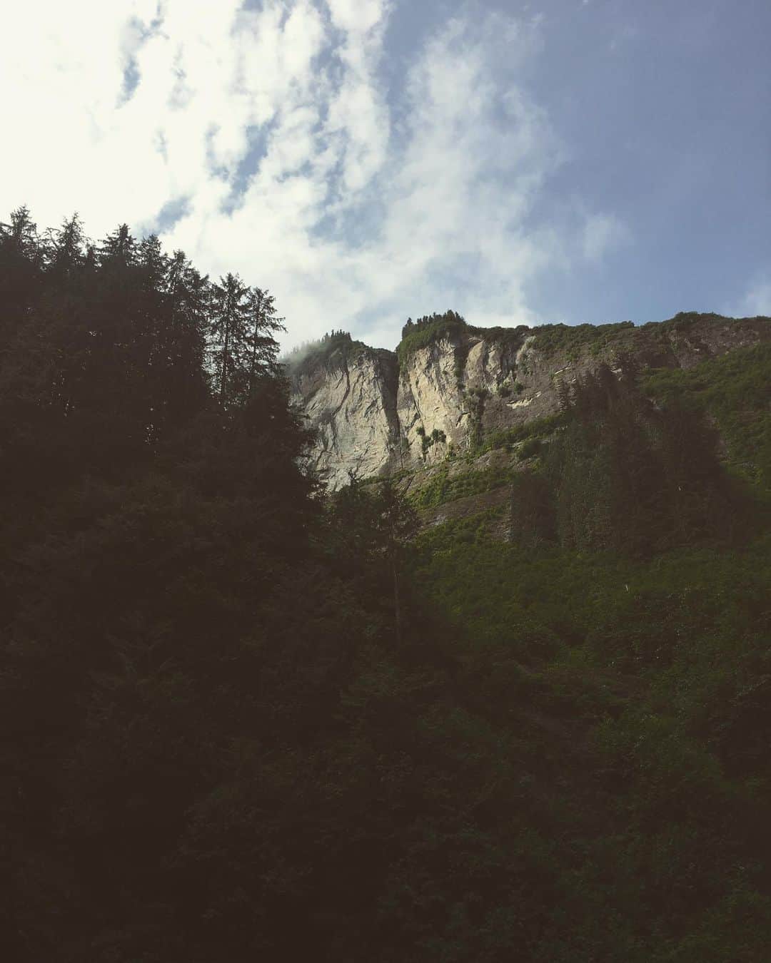 リンジー・ピアースさんのインスタグラム写真 - (リンジー・ピアースInstagram)「🏞 Misty Fjords! Waterfalls! Zodiacs! 🏞 #mistyfjords #mistyfjordsnationalmonument #rudyerdbay #alaska #mistymountains」7月5日 3時34分 - lindsayheatherpearce