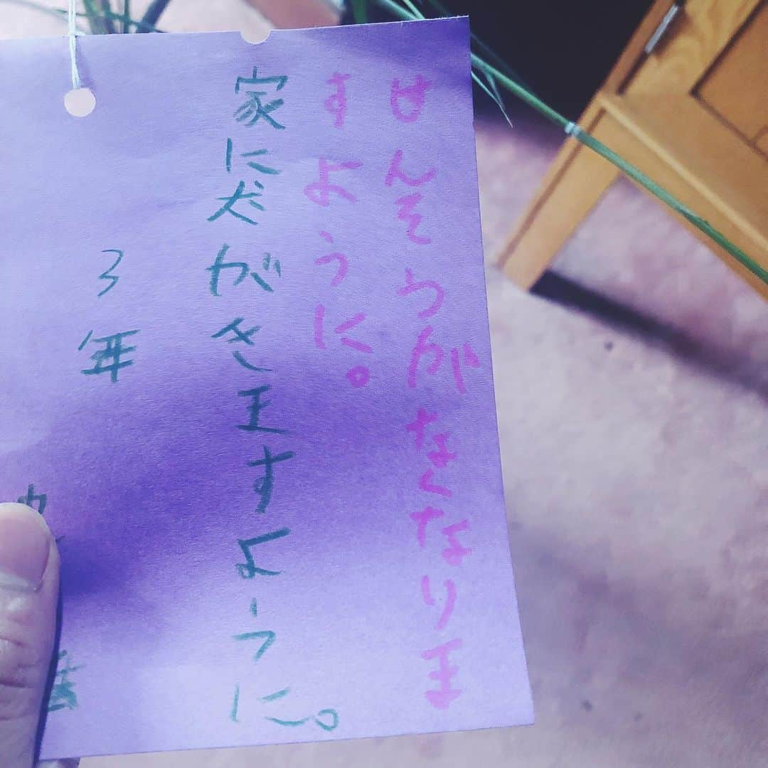 nonさんのインスタグラム写真 - (nonInstagram)「子どもらが作った七夕飾り。  夢は保護犬のためのカフェをつくること、という花種さんの短冊 「犬をすてるひとがいなくなりますように」 とブレがない。。。 他のを見ると 「せんそうがなくなりますように。家に犬がきますように」 と世界に向けた願いと自分の願望が凝縮された一枚や、 「せかいにビニールをすてる人がいなくなりますように」 という、最近家族でプラスチックゴミの問題をよく話題にしていたことが花種さんの胸にも響いていたのだと感じた一枚もありました。  娘の短冊を見て慌てて書いた母の一枚は 「買い物に気をつける。」 ...願いではなく、決意表明か？というようなものになってしまったけど、 自分の買うもの、選ぶもの、そして買い物の仕方も、 出来ることからでも、少しずつでも世の中や環境にとって倫理的で道理的であるものを選ぶようにしていきたい、 と最近ますます感じております。  最後にほっこりした一枚は 「くらすのみんなが元気でいますように」 花種さんにとって、クラスメイトの存在がとても大きく大切なものになっているんだなあと感じる。  だって家族については書かれていないっていう😂 家族の元気についても願ってくれよ😂」7月5日 9時47分 - non19841120