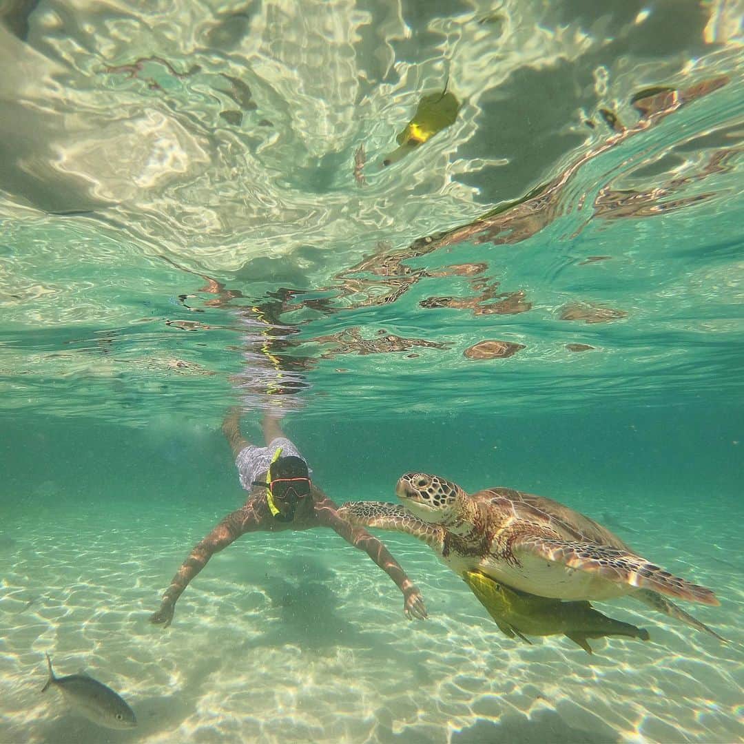 オリベル・トーレスのインスタグラム：「Bajo el mar 🧜🏻‍♂🐢🐠」