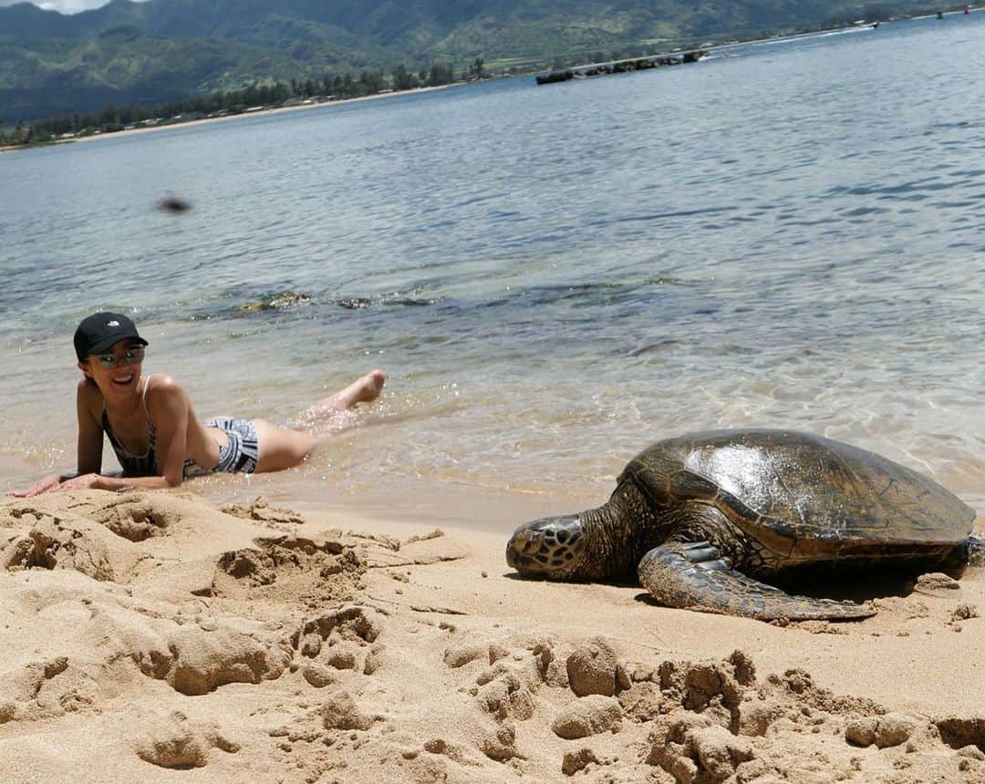 山城葉子さんのインスタグラム写真 - (山城葉子Instagram)「浜辺で寝転んでたら🐢さんが遊びにきてくれました 可愛いから近づきたいけど 2m離れるのがHawaiiの決まり 海の中にも沢山泳いでて可愛かったなぁ🐢🐢🐢🐢💚」7月5日 5時42分 - yokoyamashiro
