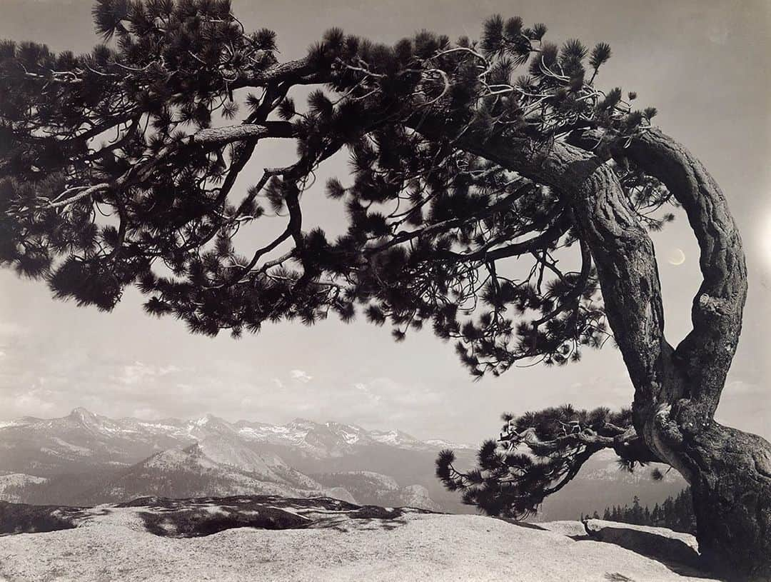 National Geographic Creativeさんのインスタグラム写真 - (National Geographic CreativeInstagram)「Photo by H. C. Tibbitts | The high Sierra Nevada mountains from the summit of Central Dome. This image was originally published in the July 1915 magazine. #ThrowBackThursday #BlackAndWhite #California」7月5日 6時27分 - natgeointhefield