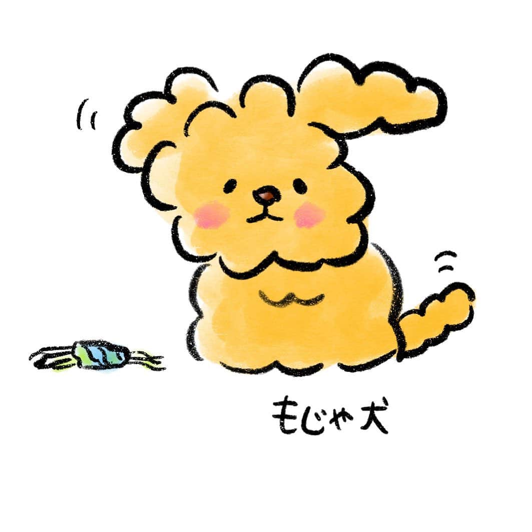  吉永龍樹さんのインスタグラム写真 - ( 吉永龍樹Instagram)「毛むくじゃら犬  #犬 #dog #いぬ #イヌ #イラストグラム #といぷーどる #トイプードル #トイプードルアフロ #もじゃもじゃ #もじゃこわい #procreate」7月5日 6時52分 - dfnt