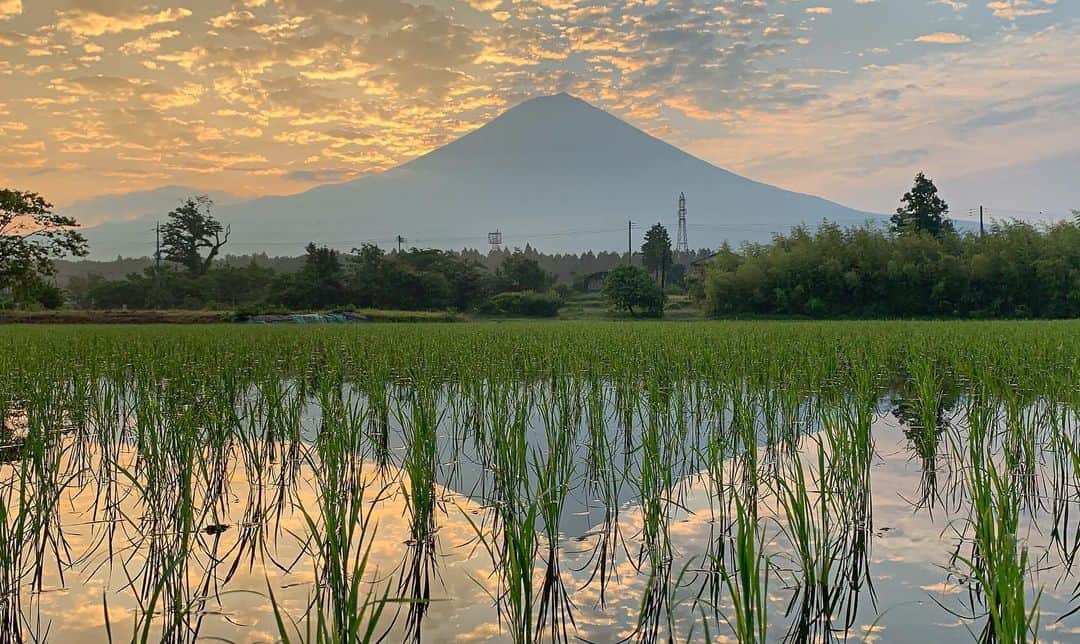 phantastic420のインスタグラム：「. 🤩🤩“Shizuoka” prefecture in Japan is a place where you can see the most “phantastic” Mt. Fuji🗻 in the world.🤩 #富士山 #mtfuji #japan #shizuoka #fujinomiya  #phantastic420photography #mostphantasticmtfuji #selamatpagi  #goodmorning  #おはようございます 😇😇😇😇😇😇😇🗻😇😇 今朝も全く見えません🤣 #日本一に会うフォトコン @fujisan_kkb #rwc2019_moment #rwc2019フォトコン #shizuoka  @make_the_moment」