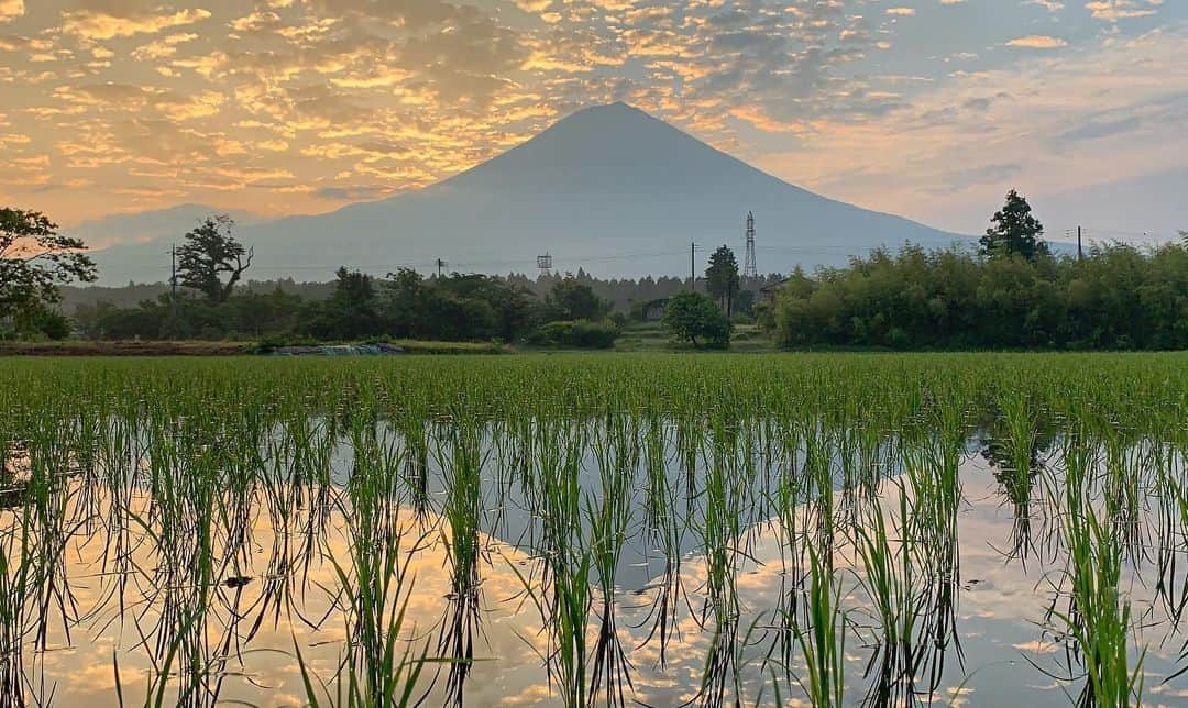 phantastic420さんのインスタグラム写真 - (phantastic420Instagram)「. 🤩🤩“Shizuoka” prefecture in Japan is a place where you can see the most “phantastic” Mt. Fuji🗻 in the world.🤩 #富士山 #mtfuji #japan #shizuoka #fujinomiya  #phantastic420photography #mostphantasticmtfuji #selamatpagi  #goodmorning  #おはようございます 😇😇😇😇😇😇😇🗻😇😇 今朝も全く見えません🤣 #日本一に会うフォトコン @fujisan_kkb #rwc2019_moment #rwc2019フォトコン #shizuoka  @make_the_moment」7月5日 7時29分 - phantastic420