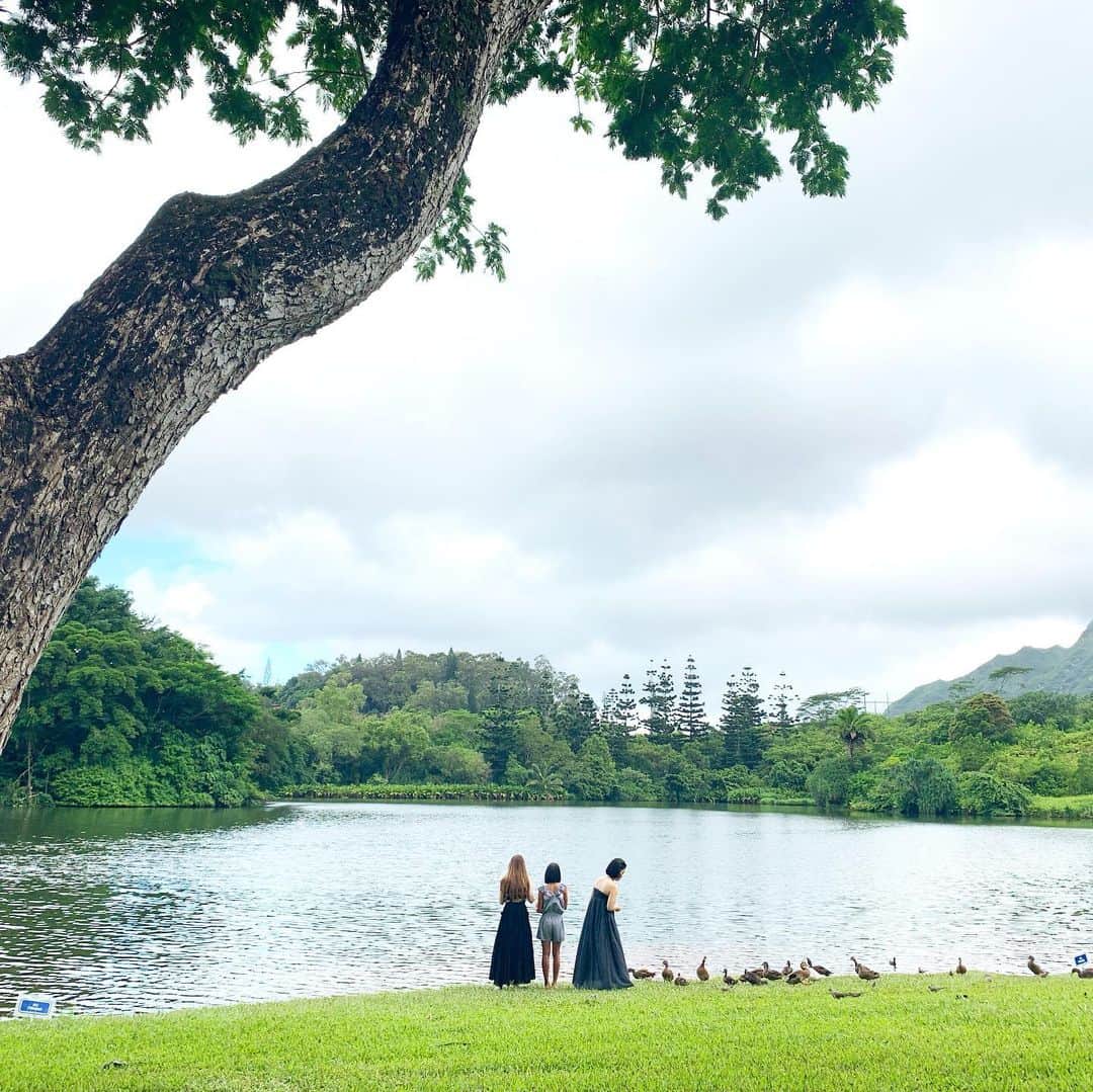 山城葉子さんのインスタグラム写真 - (山城葉子Instagram)「. 可愛い後輩たちが続々とハワイ入り。ワカのweddingに向けて賑やかになってきました。 . 皆んなをまずご案内したのはKaneoheにある植物園。 お気に入りの場所でマイナスイオンを沢山吸ってハワイの自然を感じてもらいました。 私が思うハワイの良さは、気持ちよく通り抜ける風と、神々が宿ってそうな樹々たちの緑だと思うから 海も好きだけど大きな木がある場所が好きです。」7月5日 17時49分 - yokoyamashiro