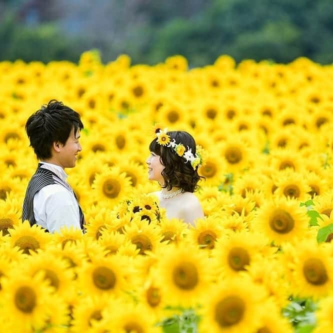 プレ花嫁の結婚式準備サイト farny 【ファーニー】さんのインスタグラム写真 - (プレ花嫁の結婚式準備サイト farny 【ファーニー】Instagram)「@farny_weddingをフォローして #プラコレ #farnyレポ を付けて投稿してくださいね♥ . :-: :-: :-: :-: :-: :-: :-: :-: :-: 本日紹介したいウェディングフォトは・・・ @ozbridal_officialさん❤︎ . 満開のひまわり畑に包まれて🌻 これからの季節にぴったりな ロケーションフォトで 一生の思い出に残る1日を。 . :-: :-: :-: :-: :-: :-: :-: :-: :-: . \\🌷花嫁ライター募集中// @farny_wedding の DMより”Farny 花嫁ライター希望”とお送りくださいね◎ 担当者から折り返しご連絡さしあげます⁂ . \\🌹花嫁アプリ // プロのアドバイザーに結婚式の相談を何度でも♡ ウェディングドレスの記事や、 自分のウェディングレポを残せちゃう♡” . ＞＞＞TOPのURLからcheck ⋈ @placolewedding ＞＞＞結婚のご相談は プラコレウェディングアドバイザーへ♡ @wedding_adviser ＞＞＞ウェディングレポを残したいなら、 farny by プラコレをcheck ✎ @farny_wedding ＞＞＞ウェディングアイテム＆DIYは farnyアイテムをcheck ❁ @farny_wd.item >>>沖縄フォトウェディングの予約は ainowa(あいのわ)をcheck✈ @ainowa_okinawa . ┈┈┈┈┈┈┈┈┈┈┈┈┈┈┈┈┈┈┈ #プレ花嫁 #卒花  #花嫁 #卒花嫁 #お色直し  #結婚準備  #花嫁準備 #当日レポ #撮影指示書 #weddingtbt #weddingdress #ウェディングドレス #運命の一着 #ウェディングフォト #ロケーションフォト #挙式レポ #卒花しました #試着レポ #farnyレポ #前撮り #後撮り  #関東花嫁 #関西花嫁 #ひまわり畑」7月5日 17時53分 - farny_wedding