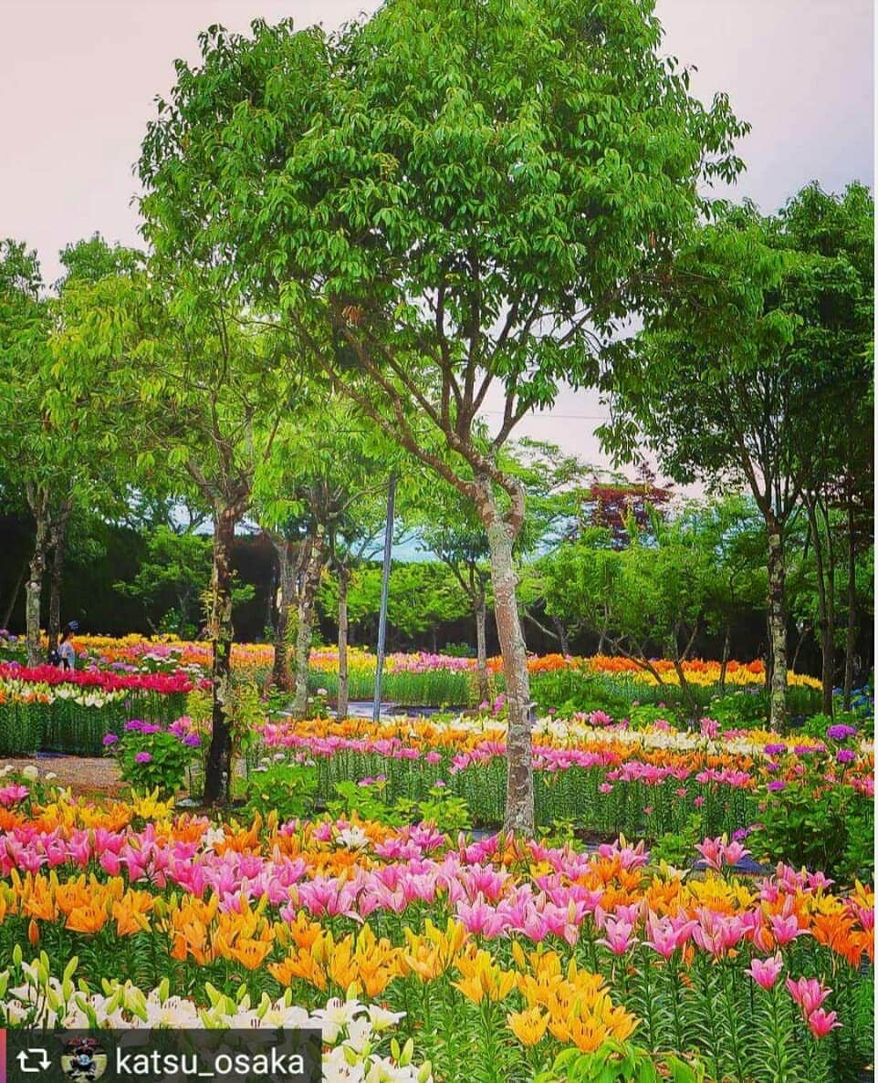 兵庫県のインスタグラム