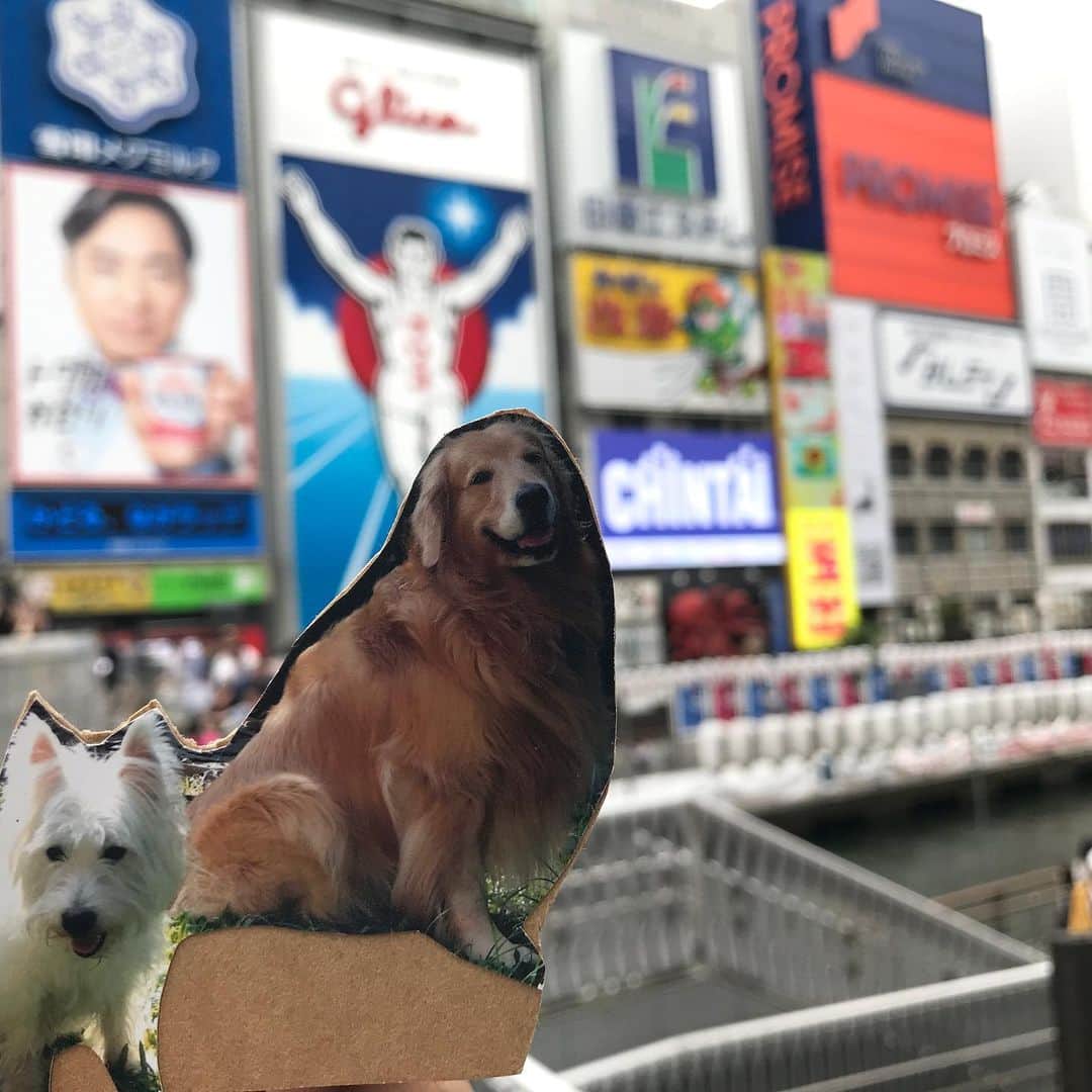 Hoykong&Plamuekのインスタグラム：「Glico!!!!」