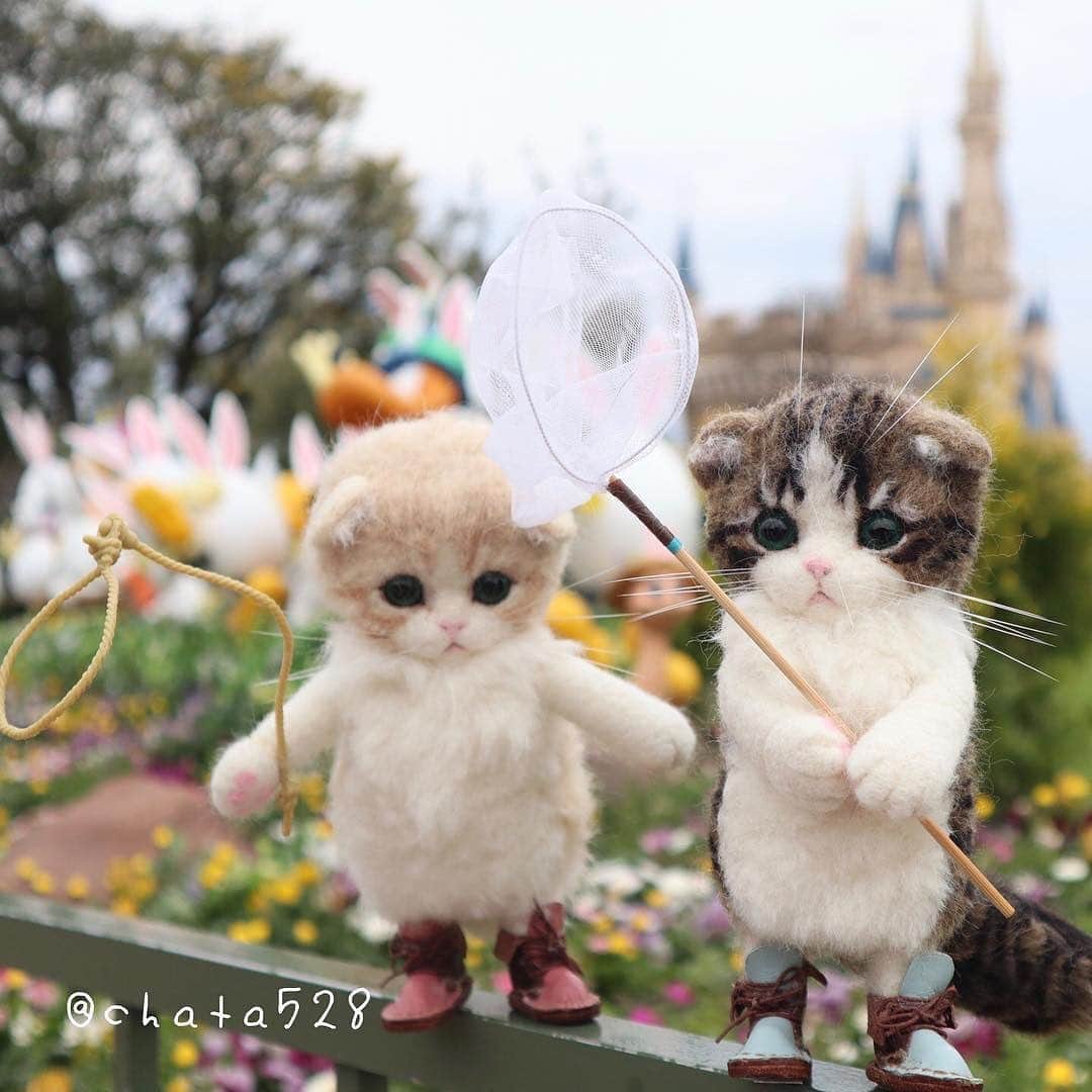 9GAGさんのインスタグラム写真 - (9GAGInstagram)「The adventure of wool felt kittens By @chata528 - #woolfelt #kitty #cat #travel #japan」7月5日 18時35分 - 9gag