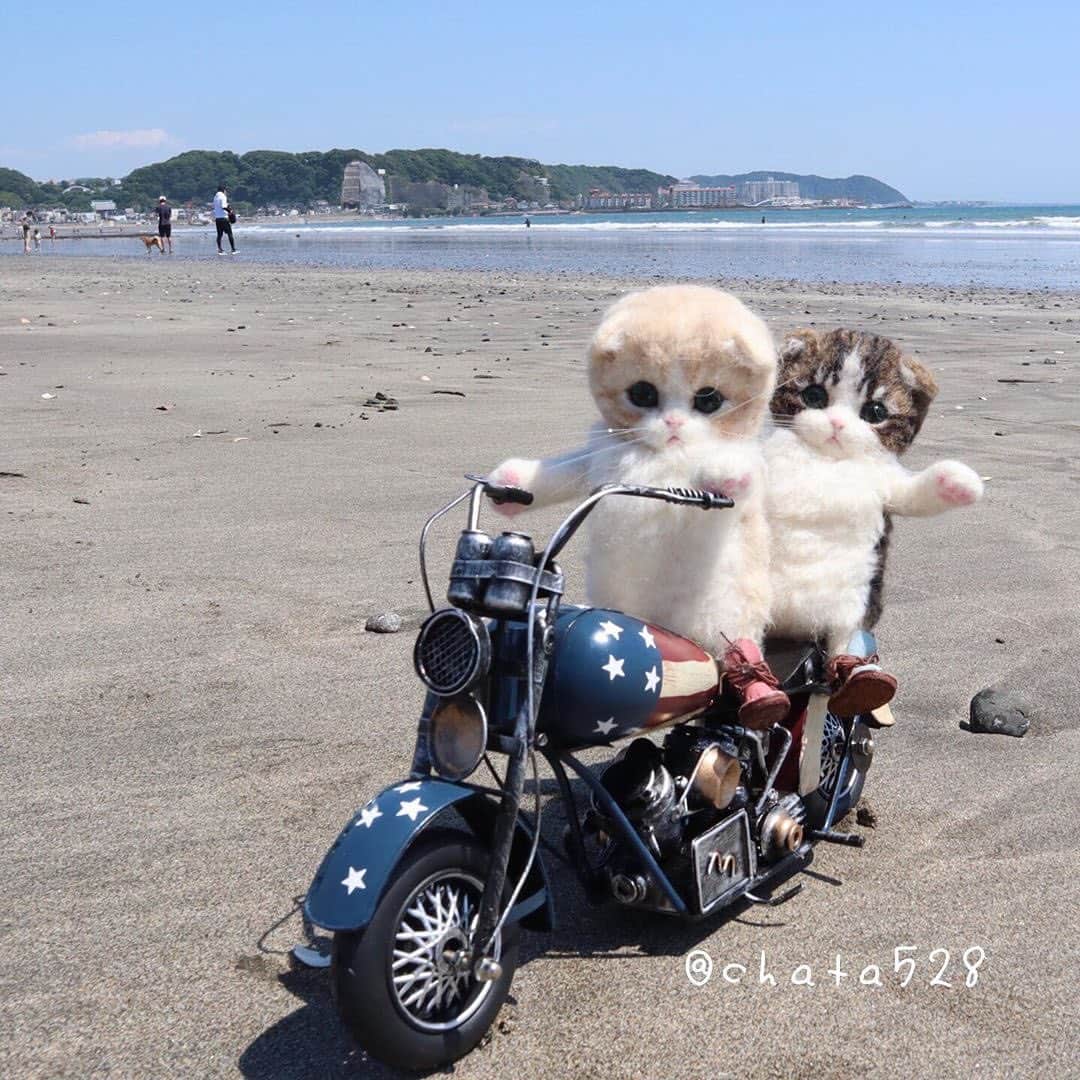 9GAGさんのインスタグラム写真 - (9GAGInstagram)「The adventure of wool felt kittens By @chata528 - #woolfelt #kitty #cat #travel #japan」7月5日 18時35分 - 9gag