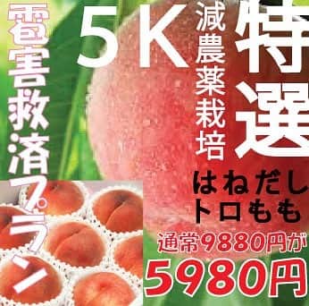 ツチと実のグルメインスタ