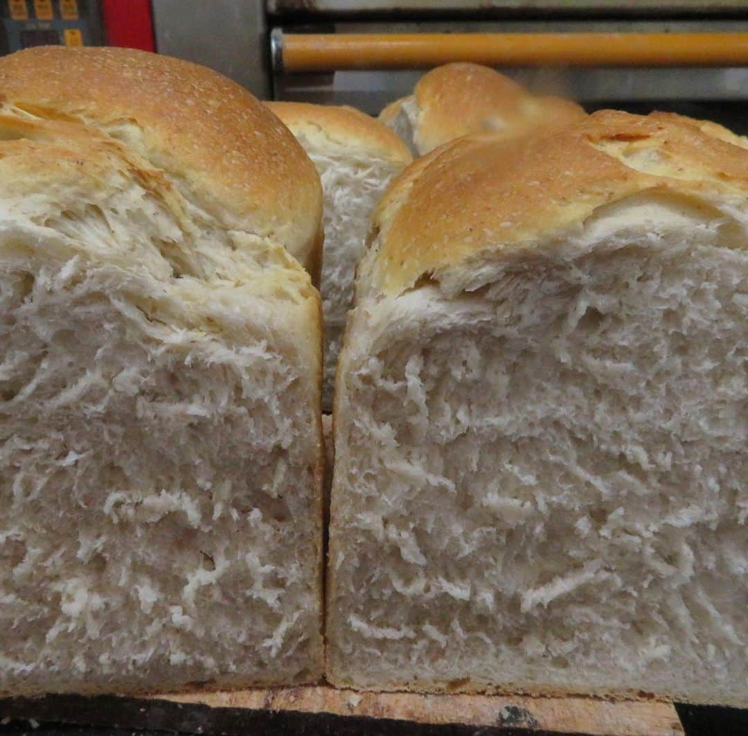 魔女菅原のグルメインスタ