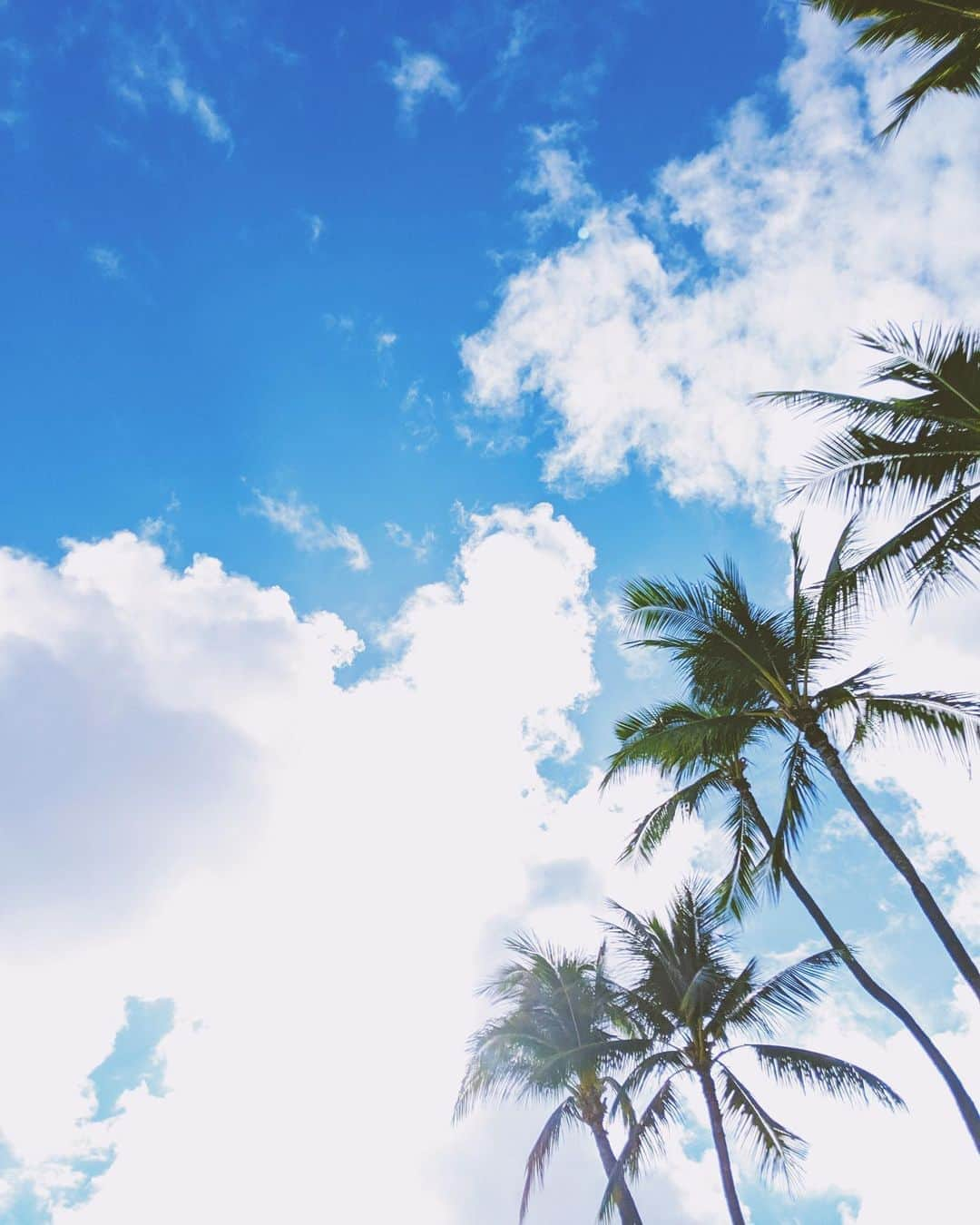 中島ケイカさんのインスタグラム写真 - (中島ケイカInstagram)「太陽と砂と海が恋しい🌴🐚🌞 . いつかは歩いてすぐ行ける距離の所に住みたい✨ だってすっごいパワーもらえるから💙 . . 今日も頑張ろ😌 . #gm」7月5日 10時22分 - kathy_tan529