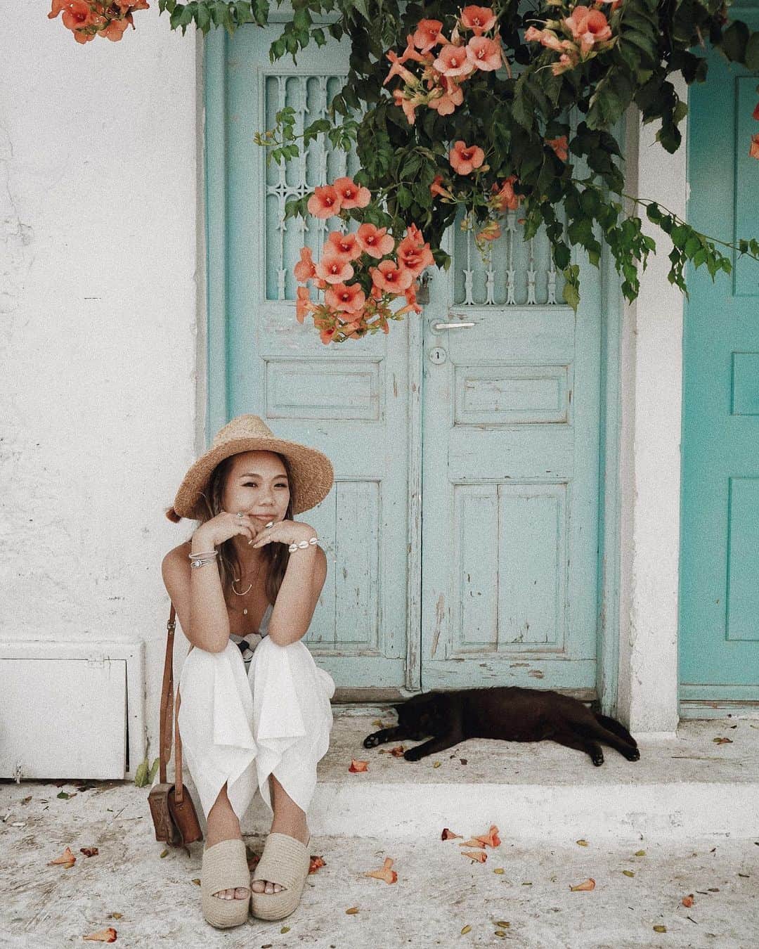Manamiのインスタグラム：「🐱🌺💤💤💤 色んなところでスヤァしてる猫ちゃんいっぱい😴 生まれ変わるならミコノスの猫ちゃんがいい😺💙 ㅤ 📸 @mina__37__」
