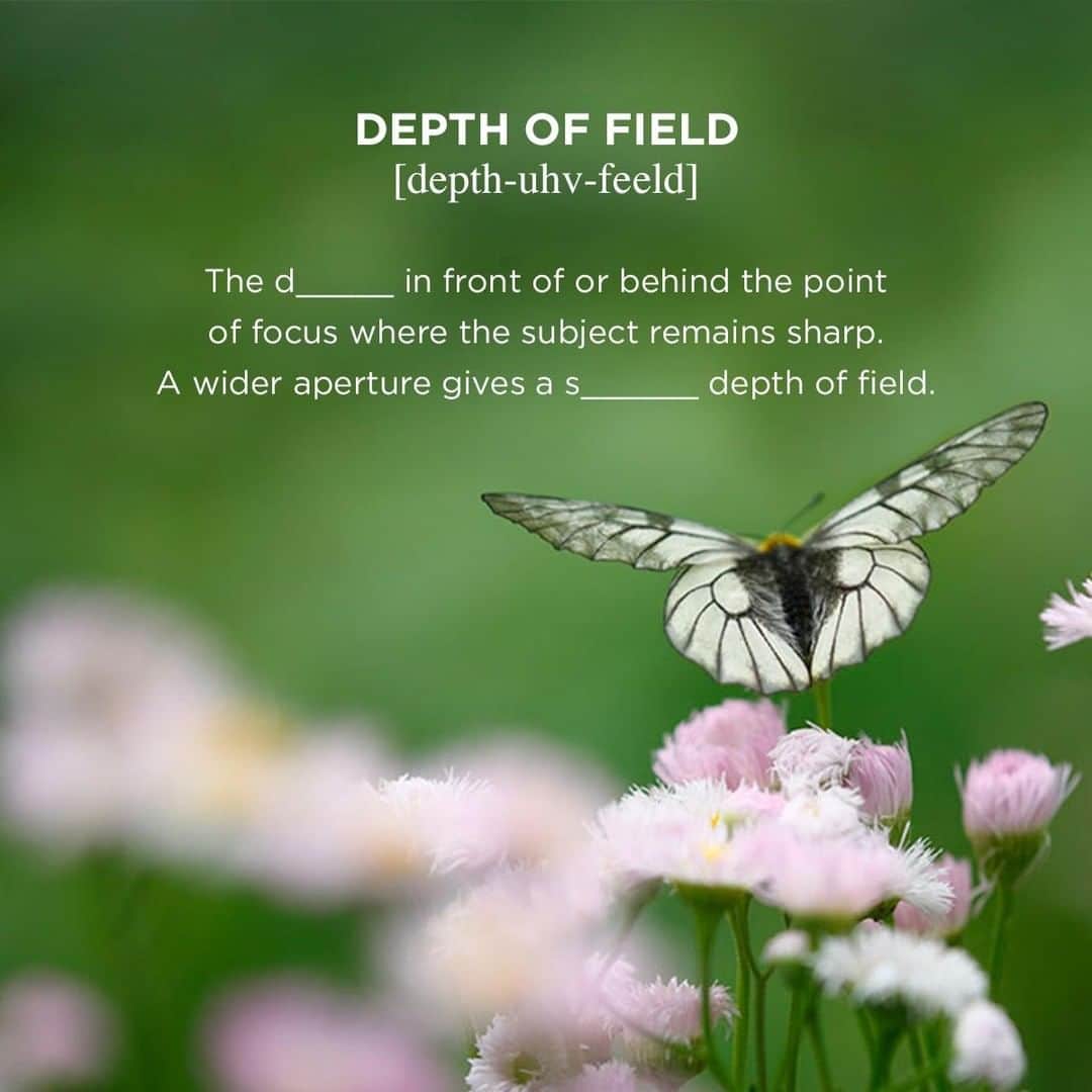 Canon Asiaのインスタグラム：「#CanonPhototionary 📚 How well do you know your photography terms? Depth of field can be achieved through varying apertures, and if done well, can change the mood and story of your pictures.  Share your answers with us, especially if you enjoy incorporating depth of field in your photography! 🤩 You can also learn more about aperture, depth of field and f-stop in the link in our bio 📸  #canonasia #photography #depthoffield #aperture #fstop #photographytechnique #photographytips」