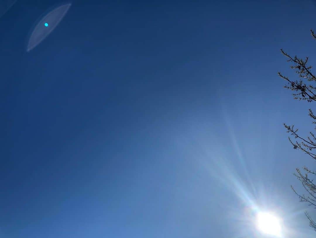 のインスタグラム：「眩しい☀️」
