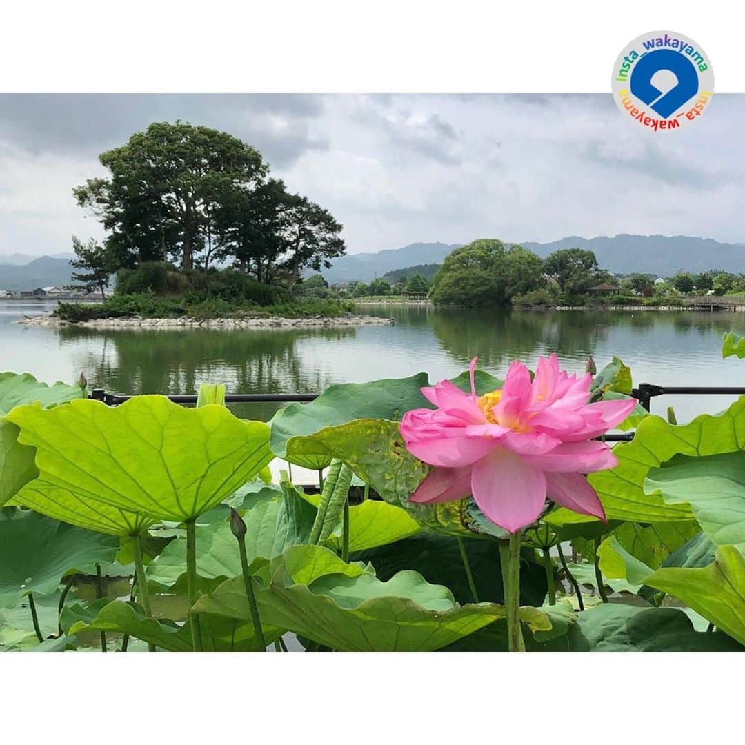 和歌山県のグルメインスタ