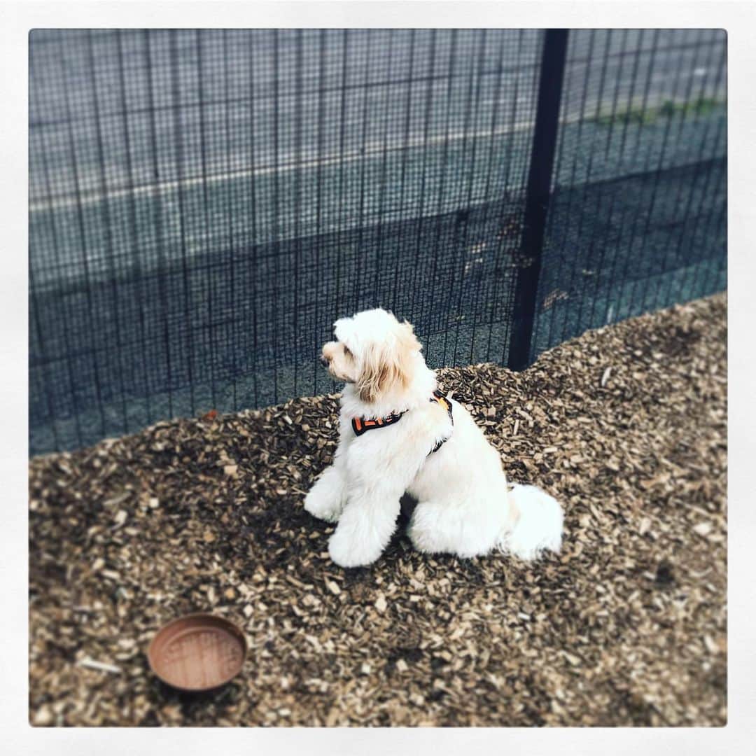 北山陽一のグルメインスタ