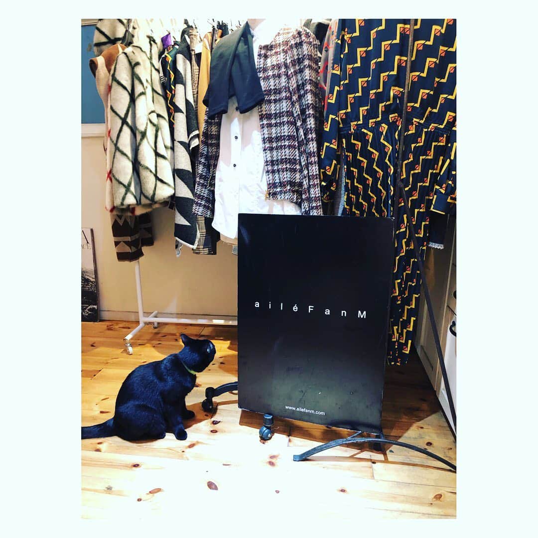 望月理恵さんのインスタグラム写真 - (望月理恵Instagram)「大好きな服、エレファン マスコット猫！？ピーター✨  #ailefanm  #展示会#猫」7月5日 16時56分 - mochiee28