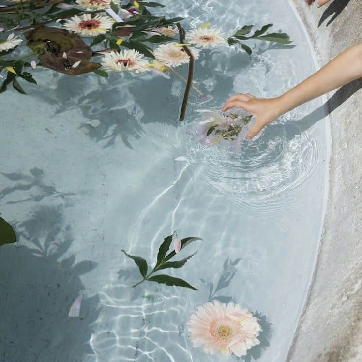 のインスタグラム：「Nature is the most precious gift inspiring Jamin Puech’s creations. #jaminpuech #inspiration #nature」