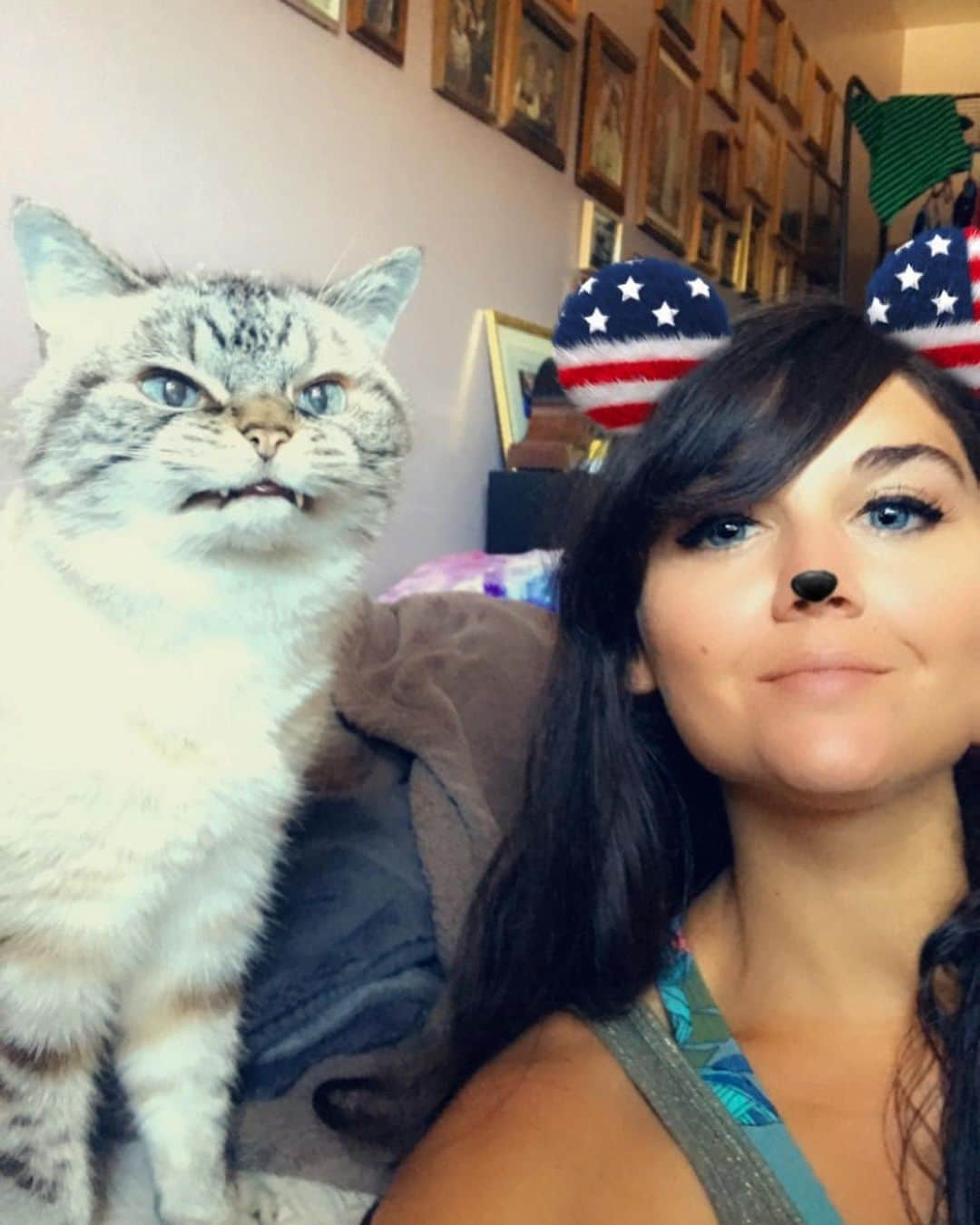 Lokiさんのインスタグラム写真 - (LokiInstagram)「My many attempts at a Fourth of July photo 😂 #4thofjuly #holiday #cats #kitty #photooftheday #igers #catsofinstagram #catstagram」7月6日 2時58分 - loki_kitteh