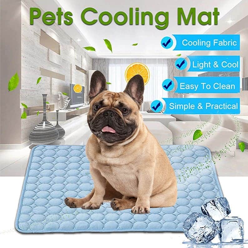 French Bulldogさんのインスタグラム写真 - (French BulldogInstagram)「New! Summer Cooling French Bulldog Furniture Cover 🌡❄ ... Plaid cloth and pure cotton material, comfortable and soft. Pets will feel the comfort of this mat, providing warmth and comfort during the nap. Multifunction, can be used as a sofa or bed cover. . . . . . #frenchie #frenchieoftheday #französischebulldogge#franskbulldog #frenchbull #fransebulldog #frenchbulldog#frenchiepuppy #dog #dogsofinstagram #petstagram#puppy #puppylove #bully #bulldog #bullyinstafeature#bulldogfrances #フレンチブルドッグ #フレンチブルドッグ #フレブル #ワンコ #frenchyfanatics #frenchiesgram#frenchbulldogsofinstagram #frenchiesoverload#ilovemyfrenchie #batpig #buhi #squishyfacecrewbulldog」7月6日 3時49分 - frenchie.world