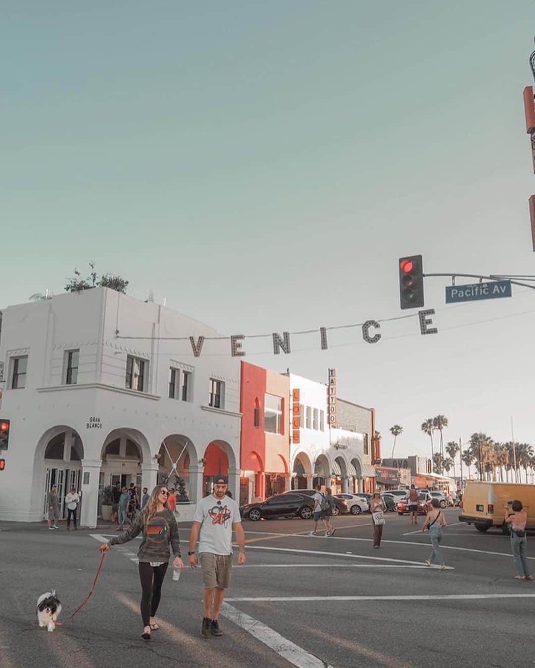 八代健のインスタグラム：「In a golden state of mind 💛#VeniceBeach #California」